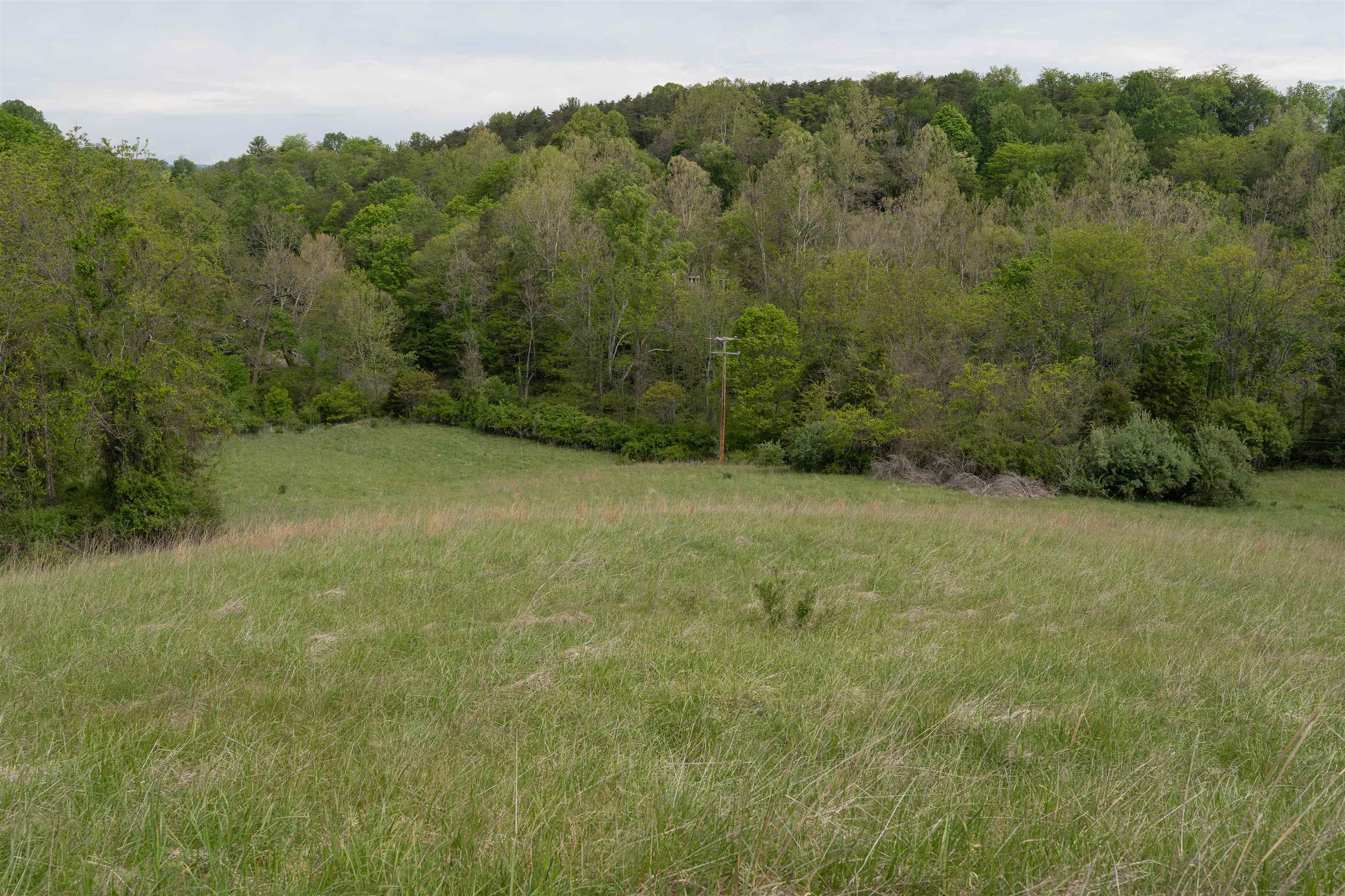 Tbd Reed Creek Road Wytheville VA 24382