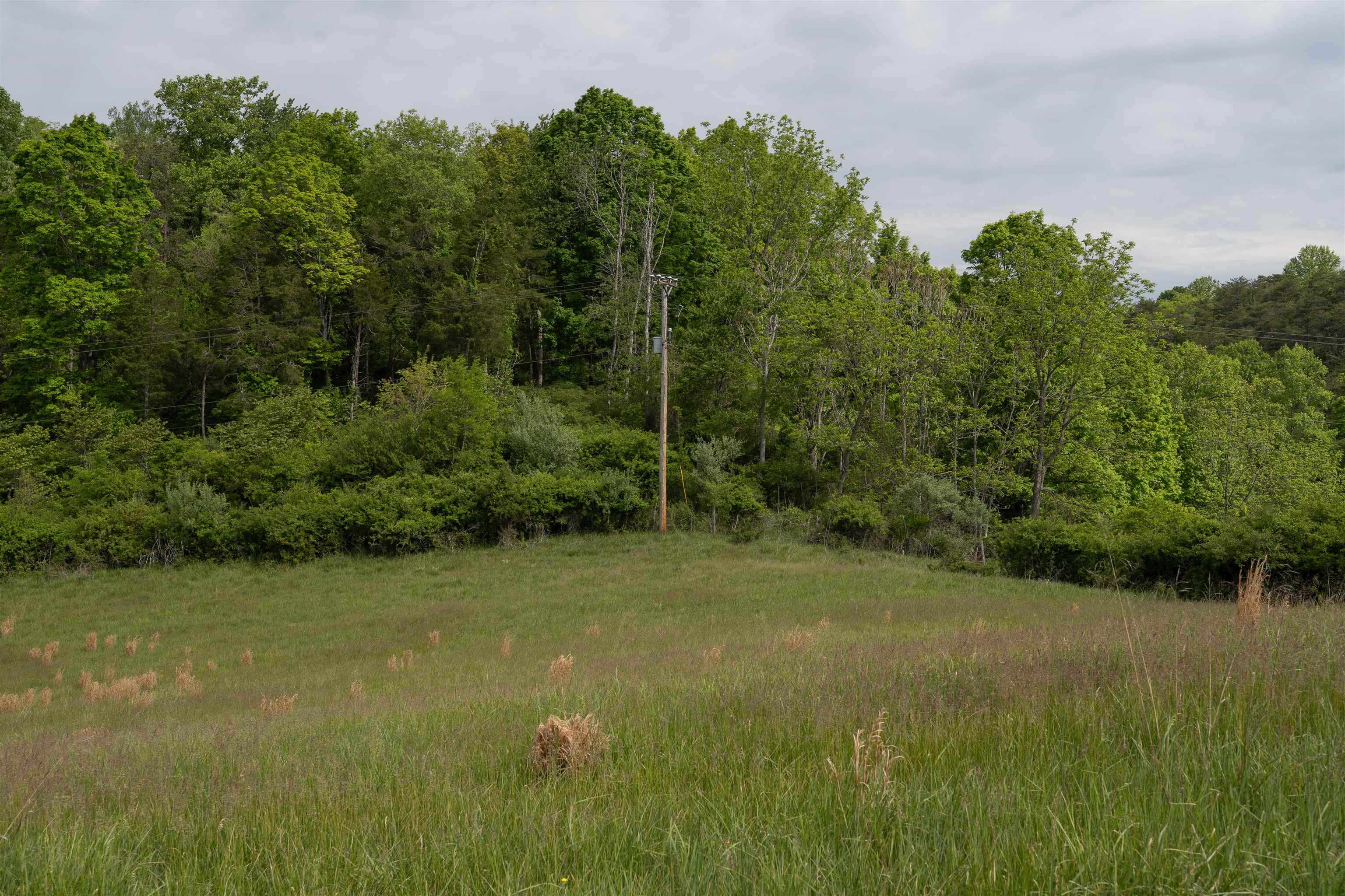 Tbd Reed Creek Road Wytheville VA 24382