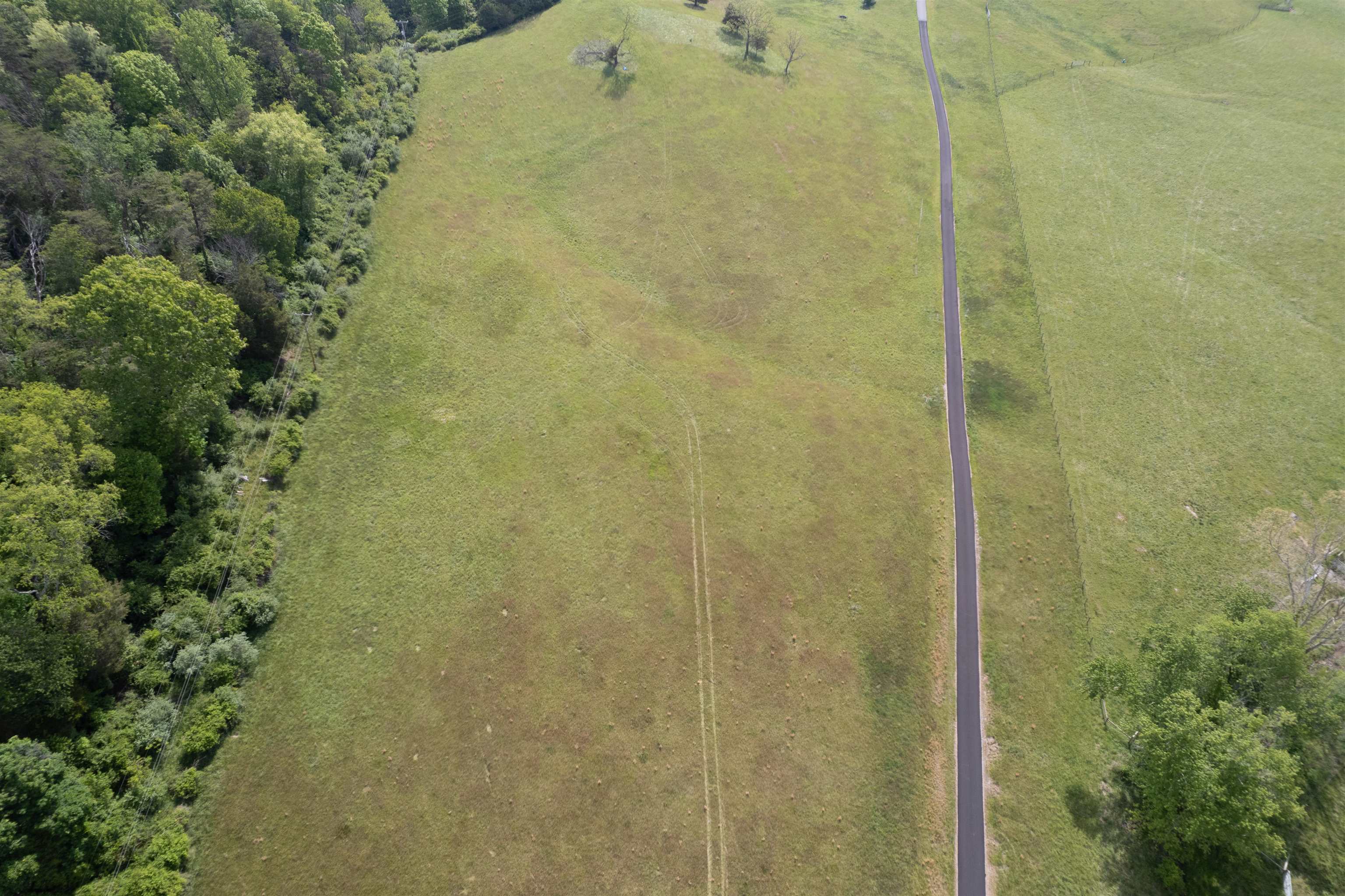 Tbd Reed Creek Road Wytheville VA 24382