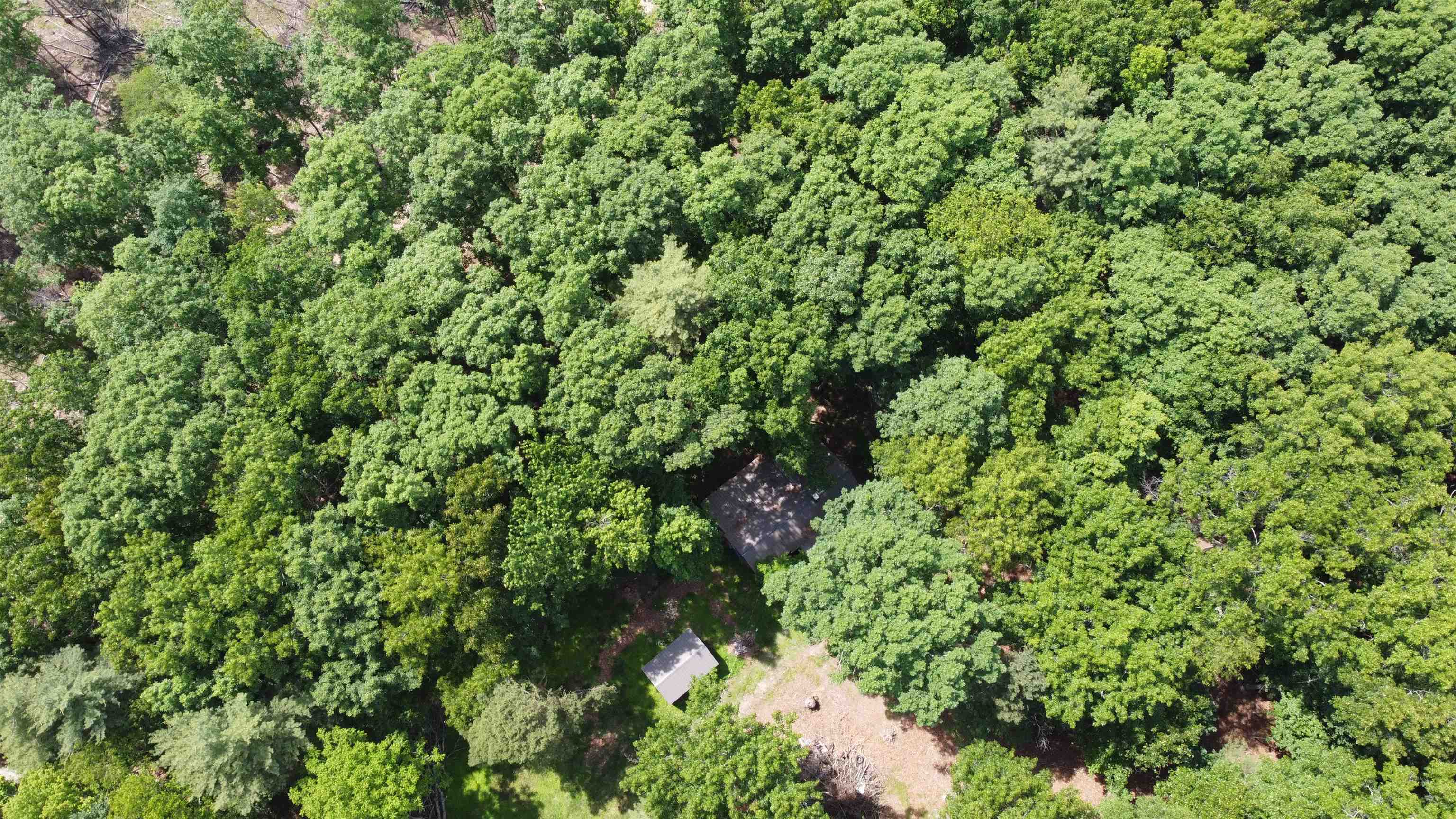 166 Dahoon Drive Wytheville VA 24382