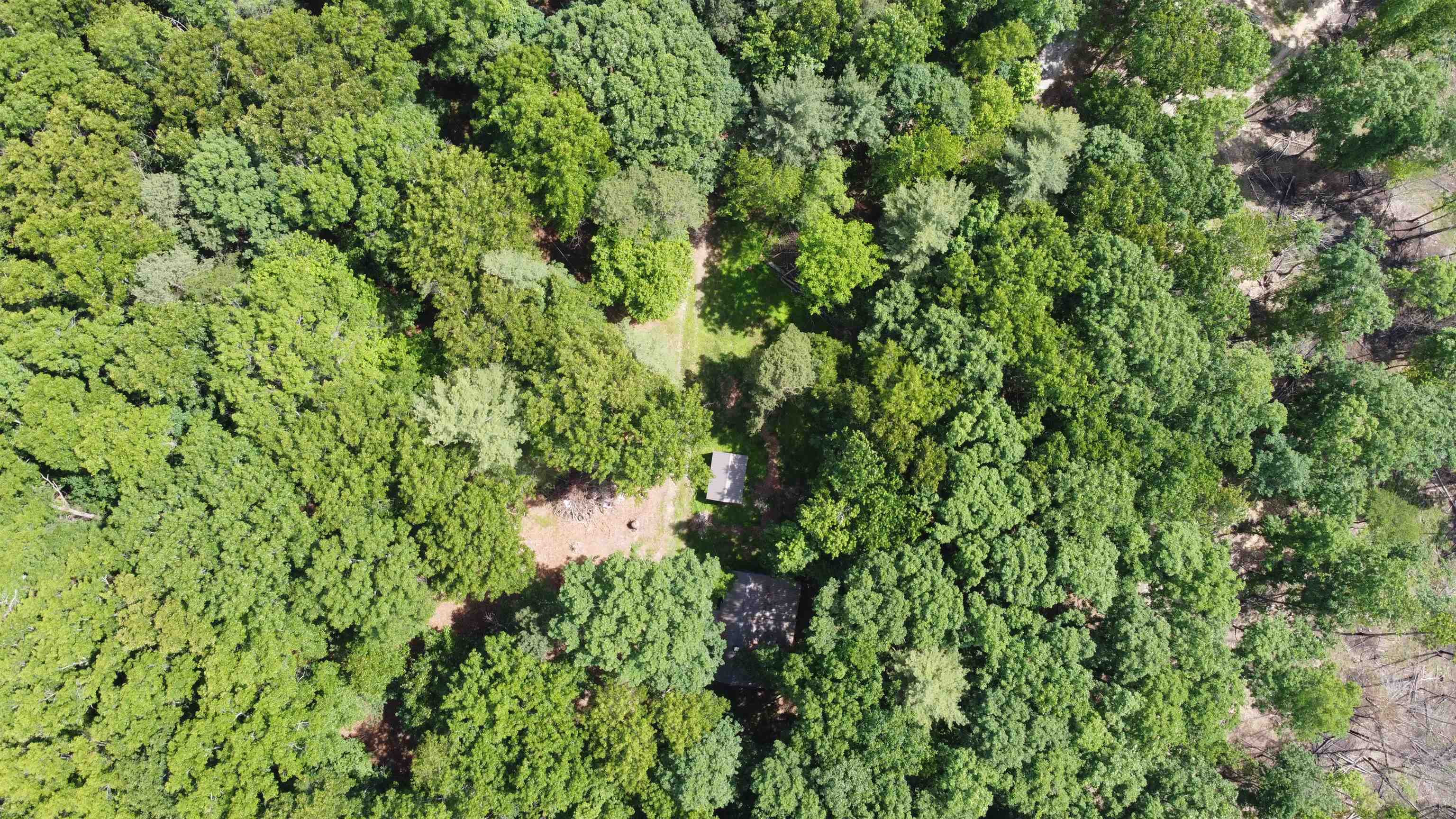 166 Dahoon Drive Wytheville VA 24382