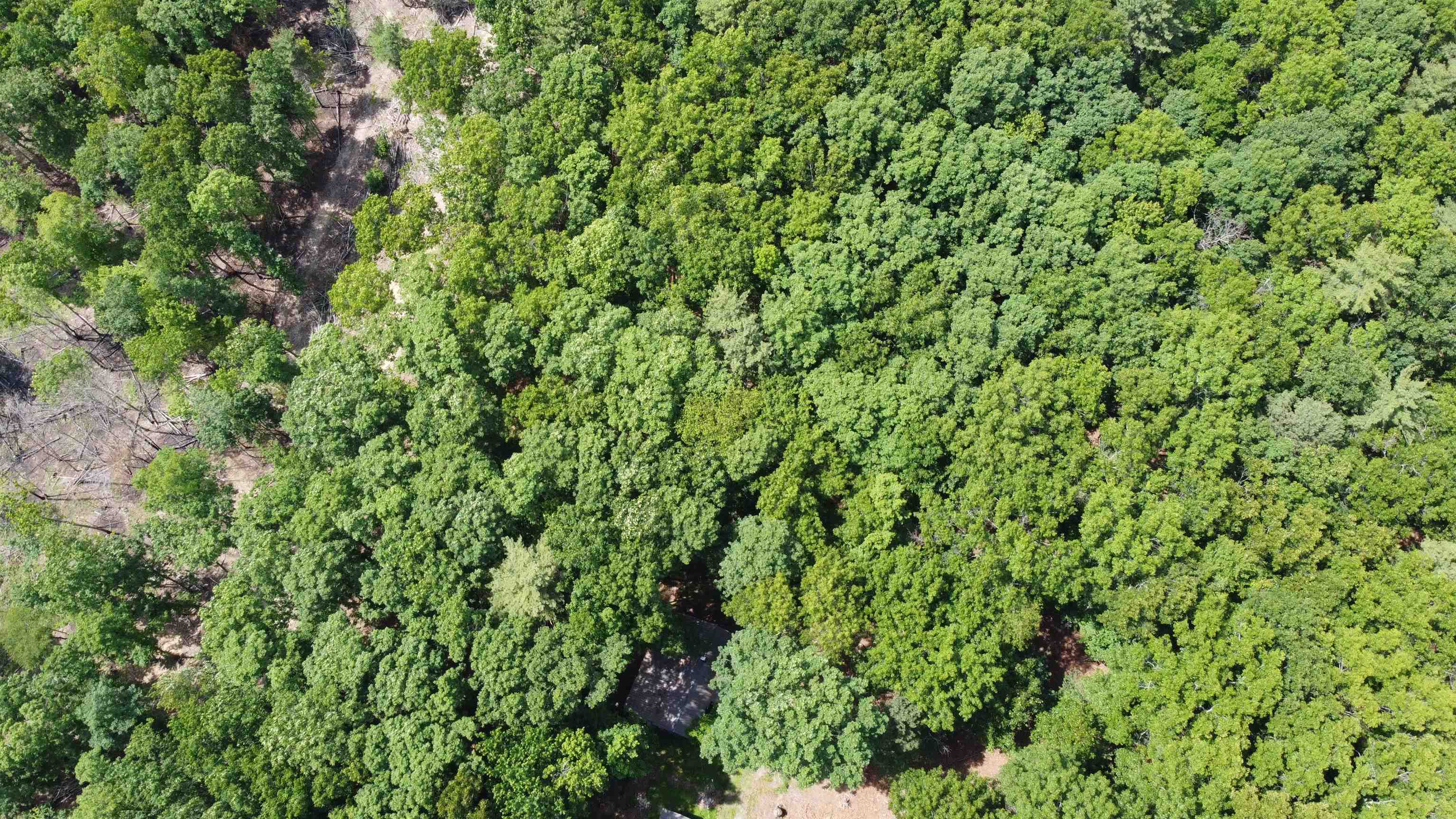 166 Dahoon Drive Wytheville VA 24382