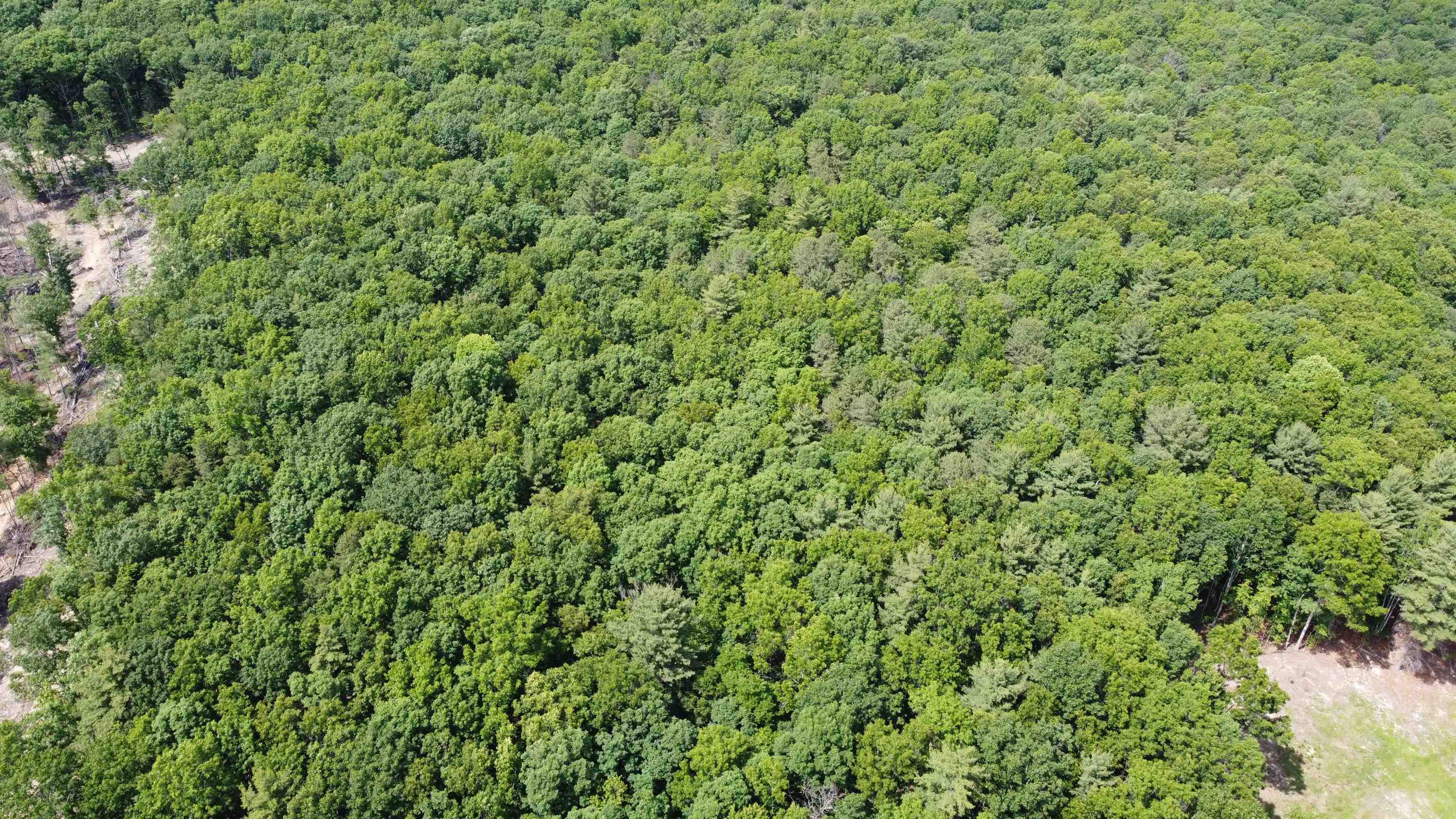 166 Dahoon Drive Wytheville VA 24382