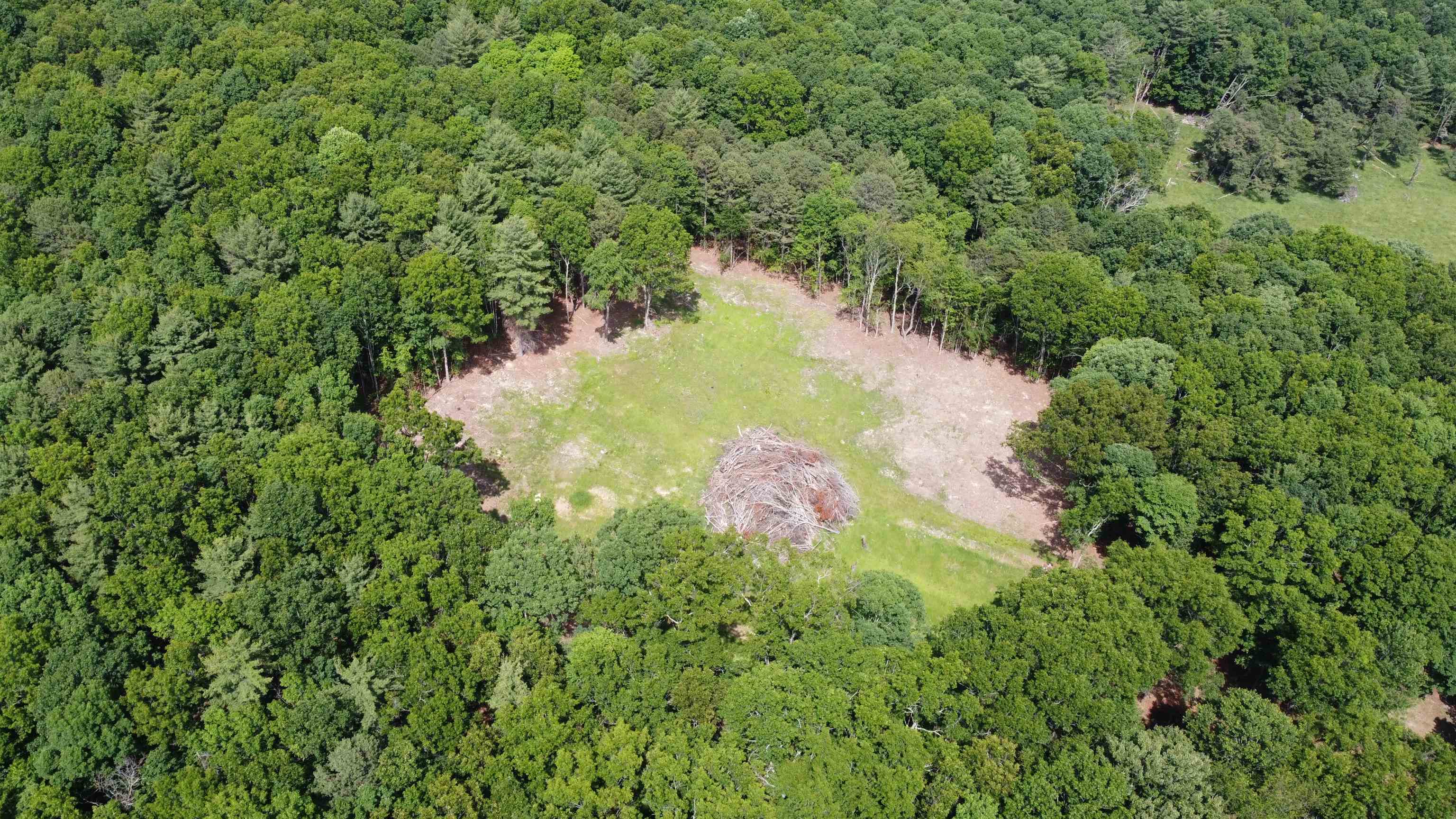 166 Dahoon Drive Wytheville VA 24382