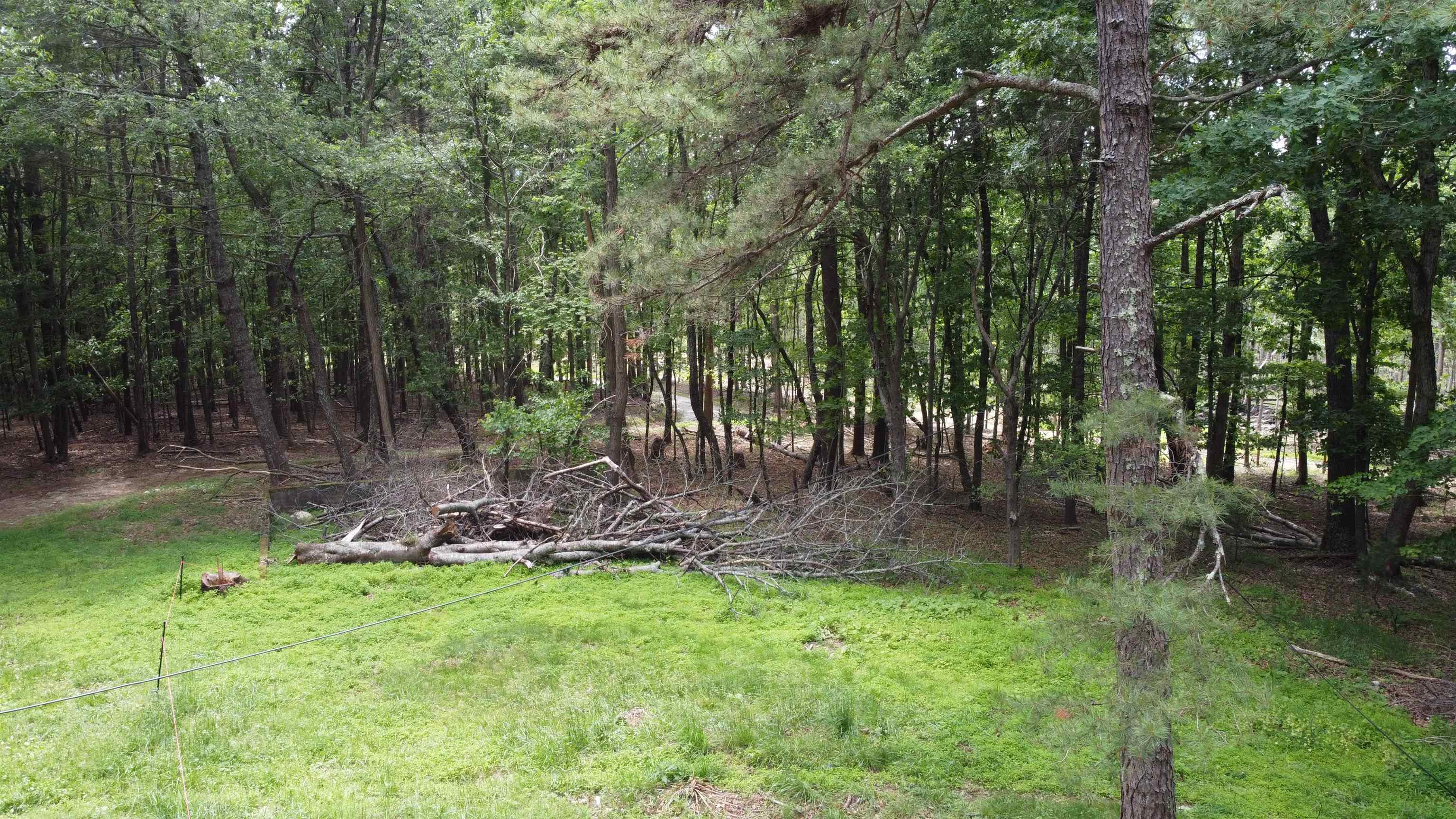 166 Dahoon Drive Wytheville VA 24382