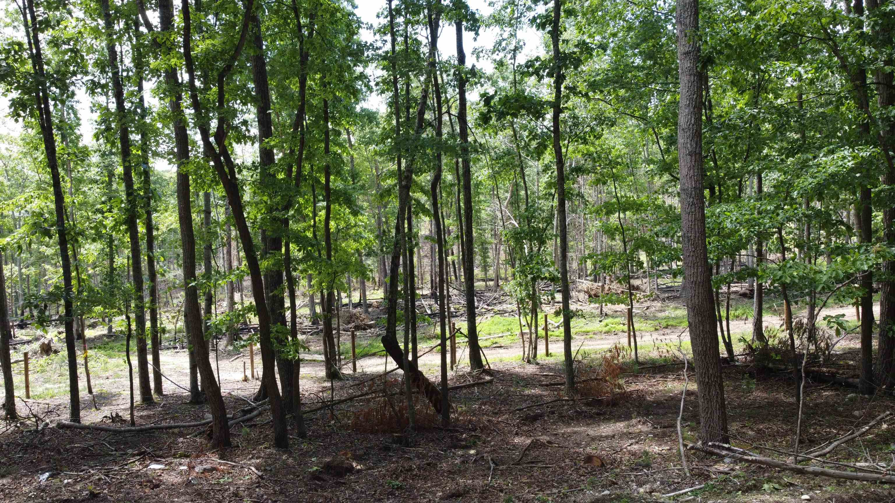 166 Dahoon Drive Wytheville VA 24382