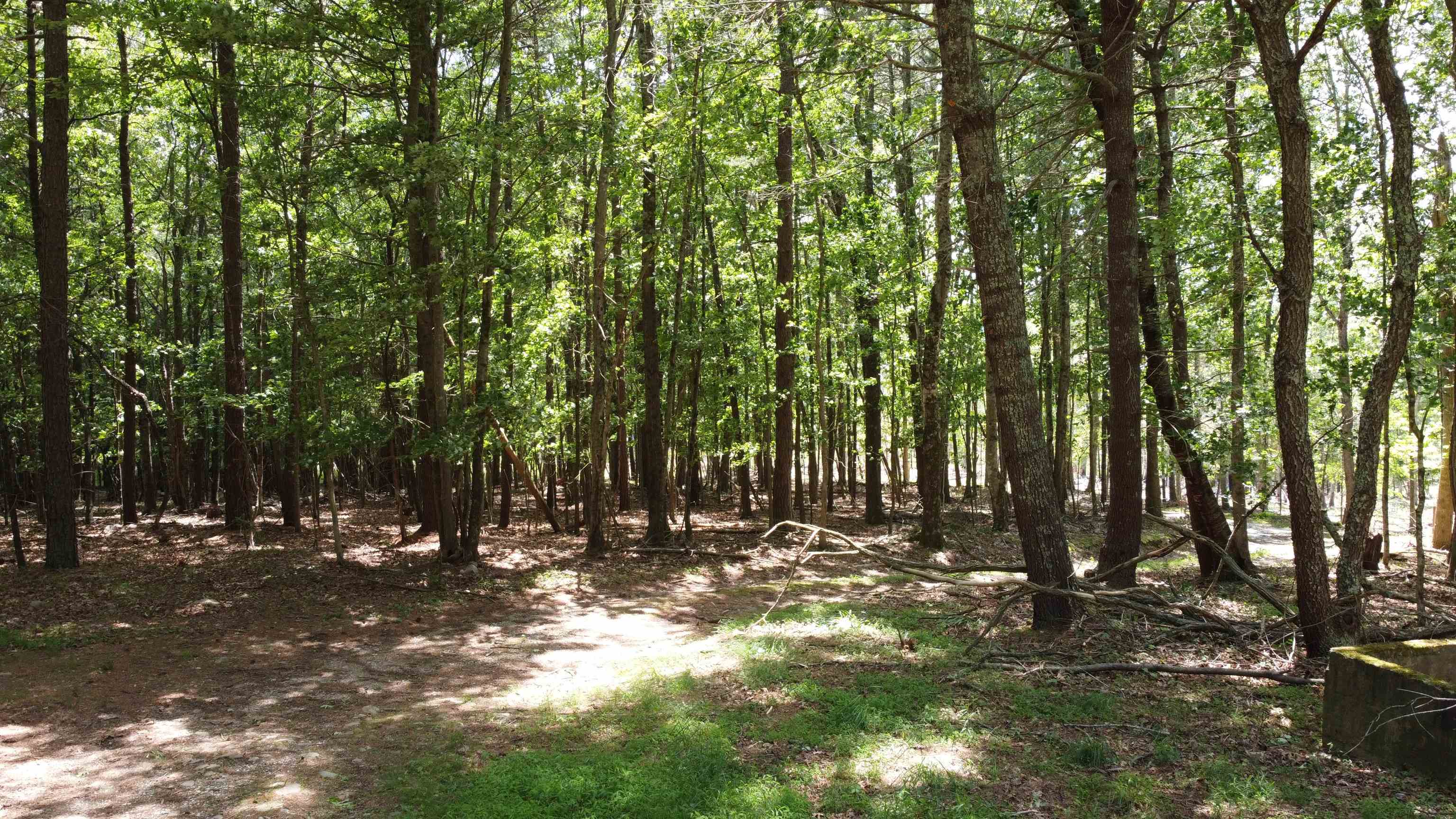 166 Dahoon Drive Wytheville VA 24382