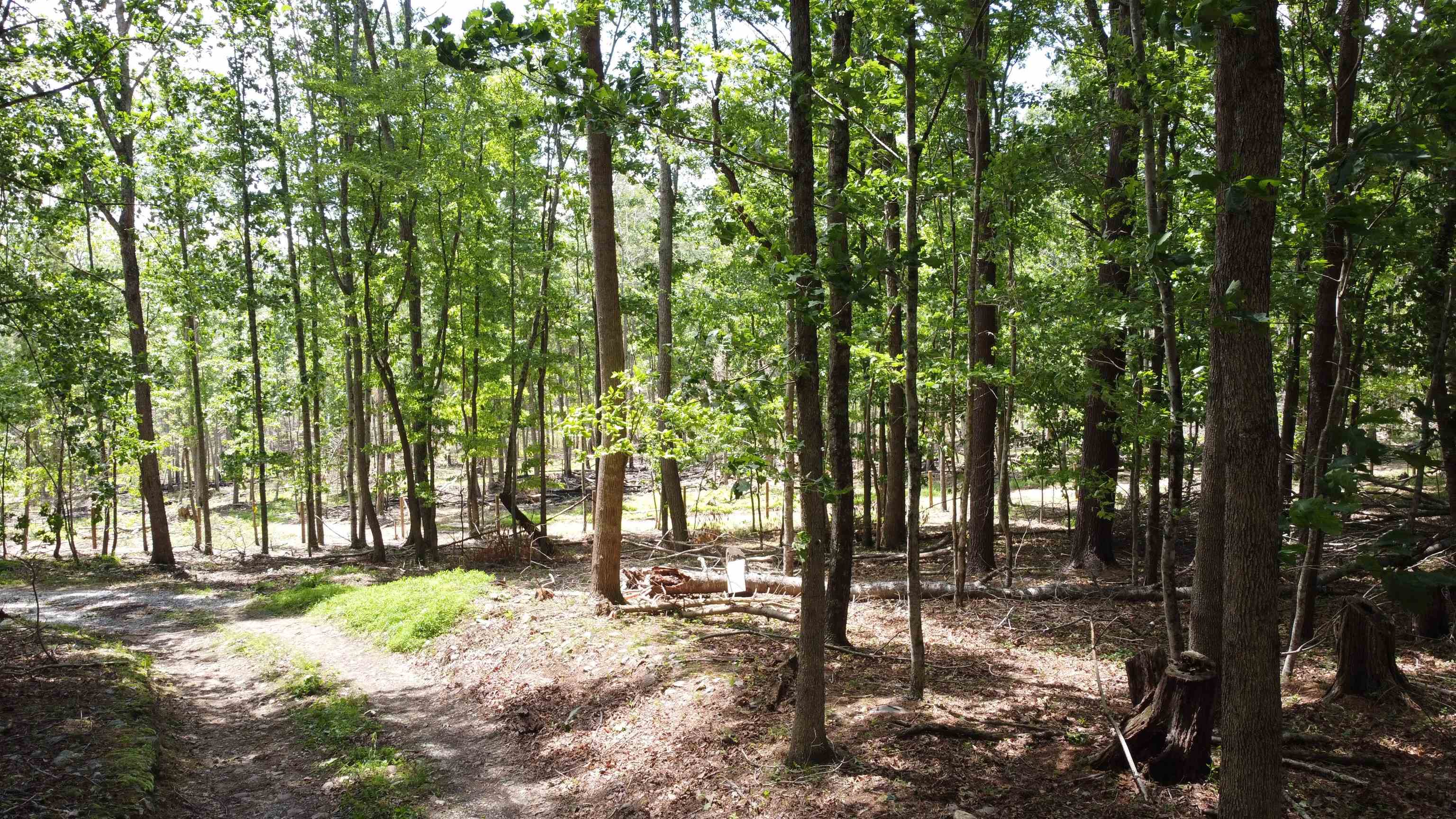 166 Dahoon Drive Wytheville VA 24382