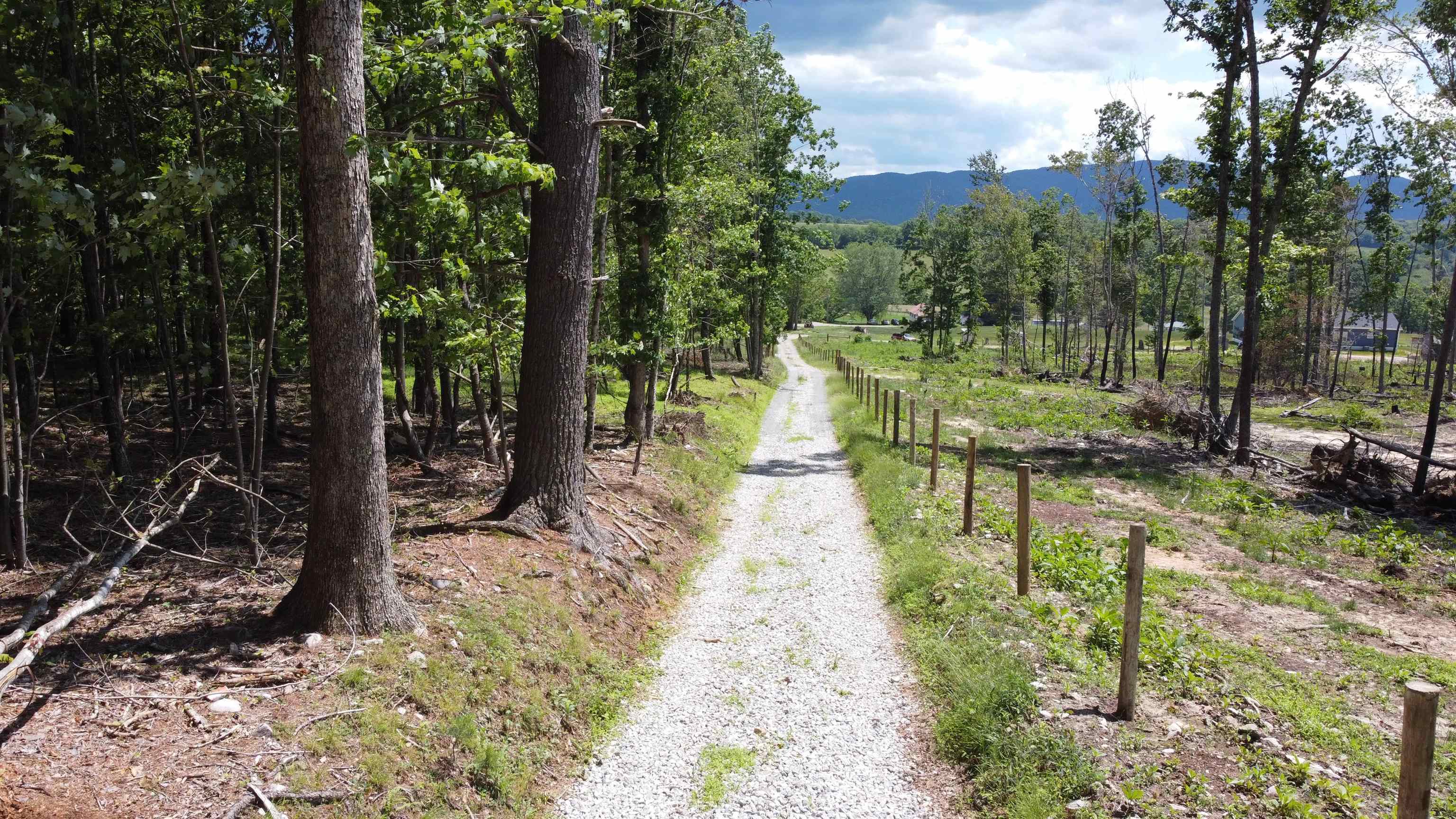 166 Dahoon Drive Wytheville VA 24382