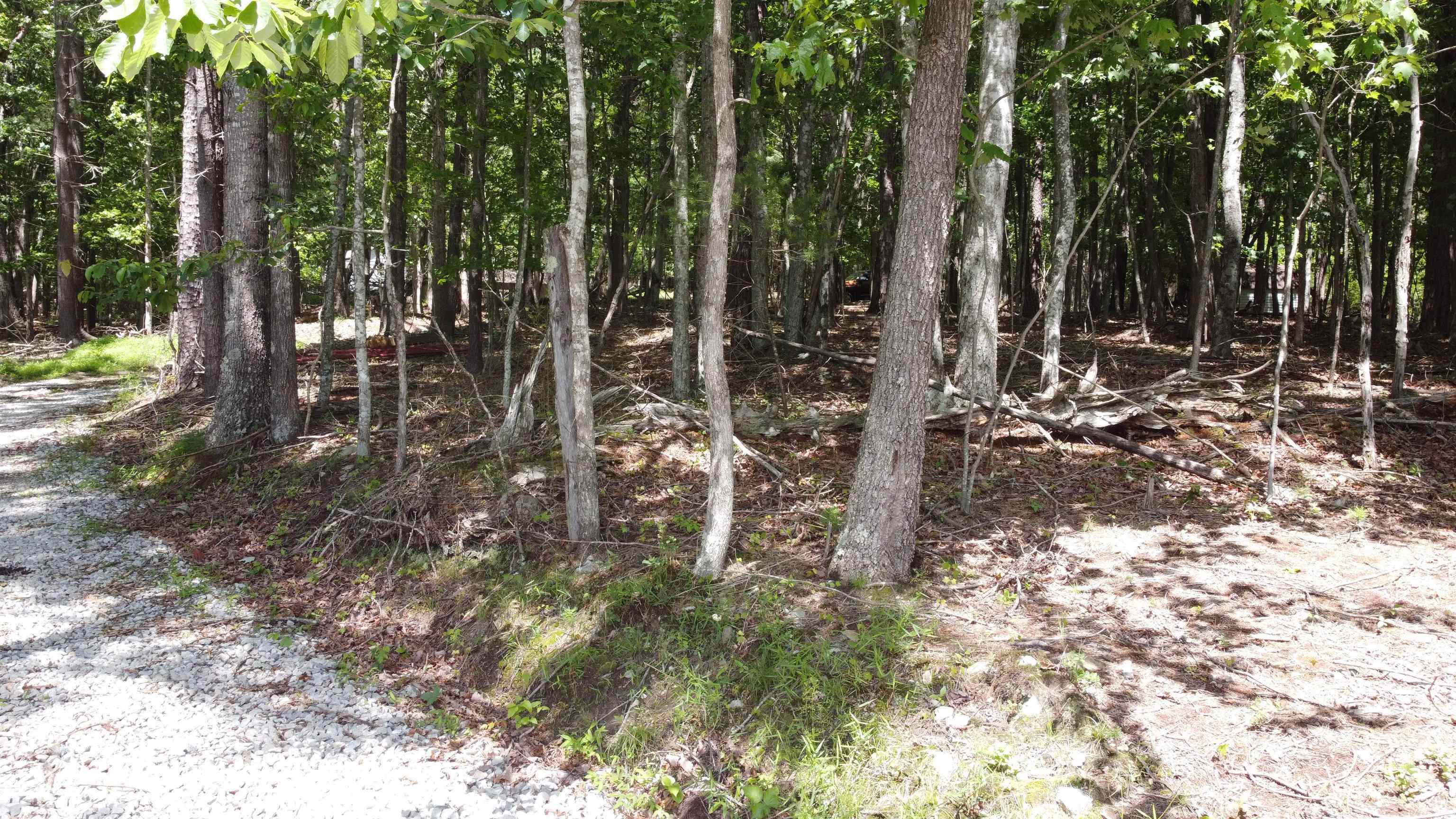 166 Dahoon Drive Wytheville VA 24382