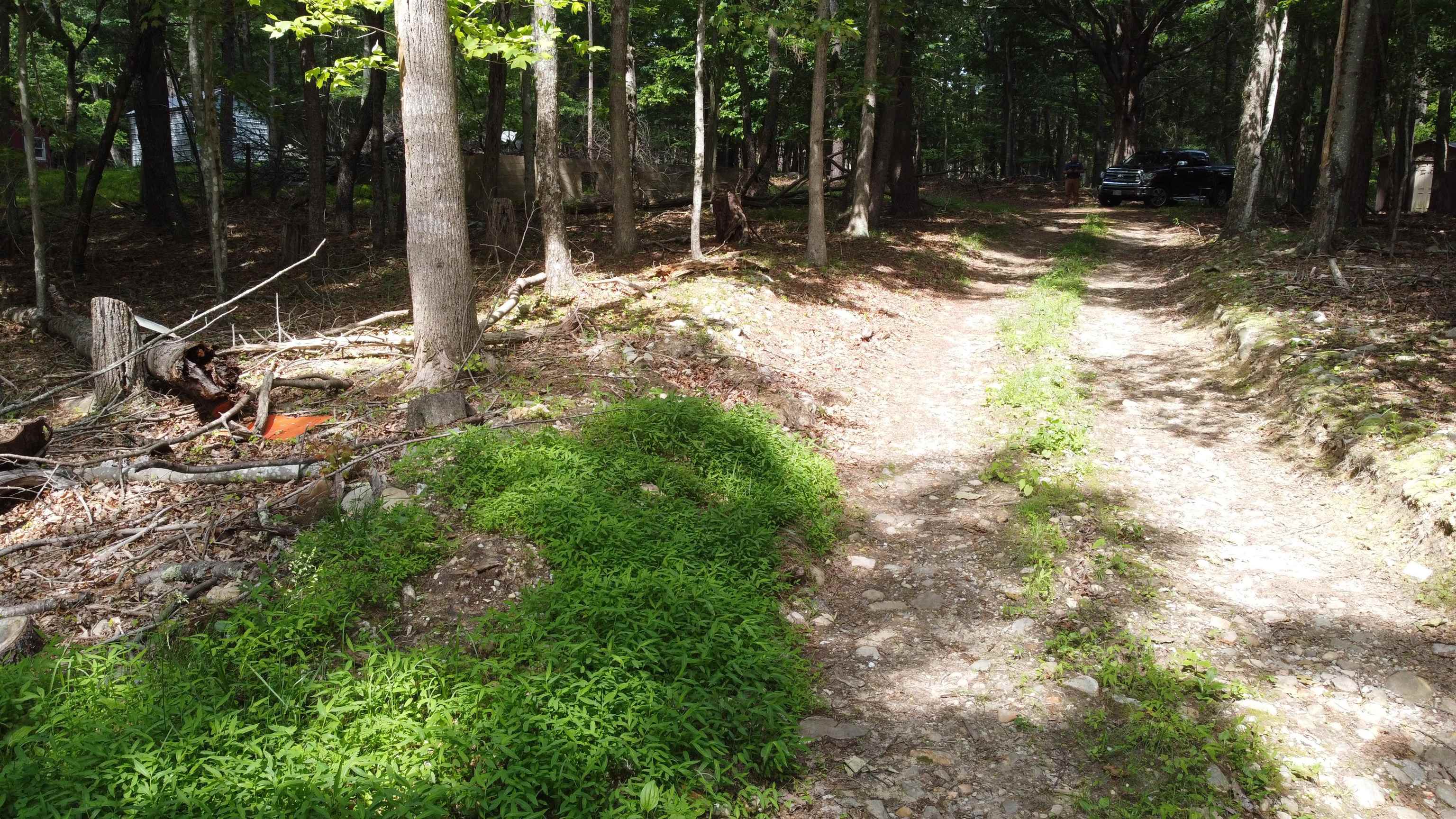 166 Dahoon Drive Wytheville VA 24382