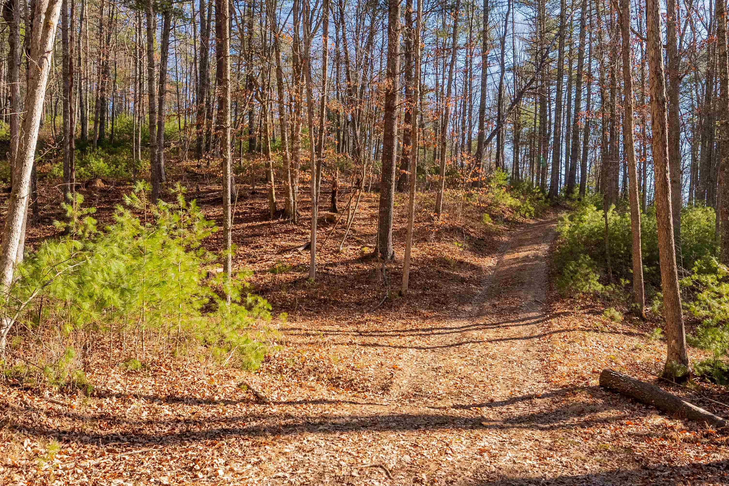 0 Kimberling Road Bland VA 24315