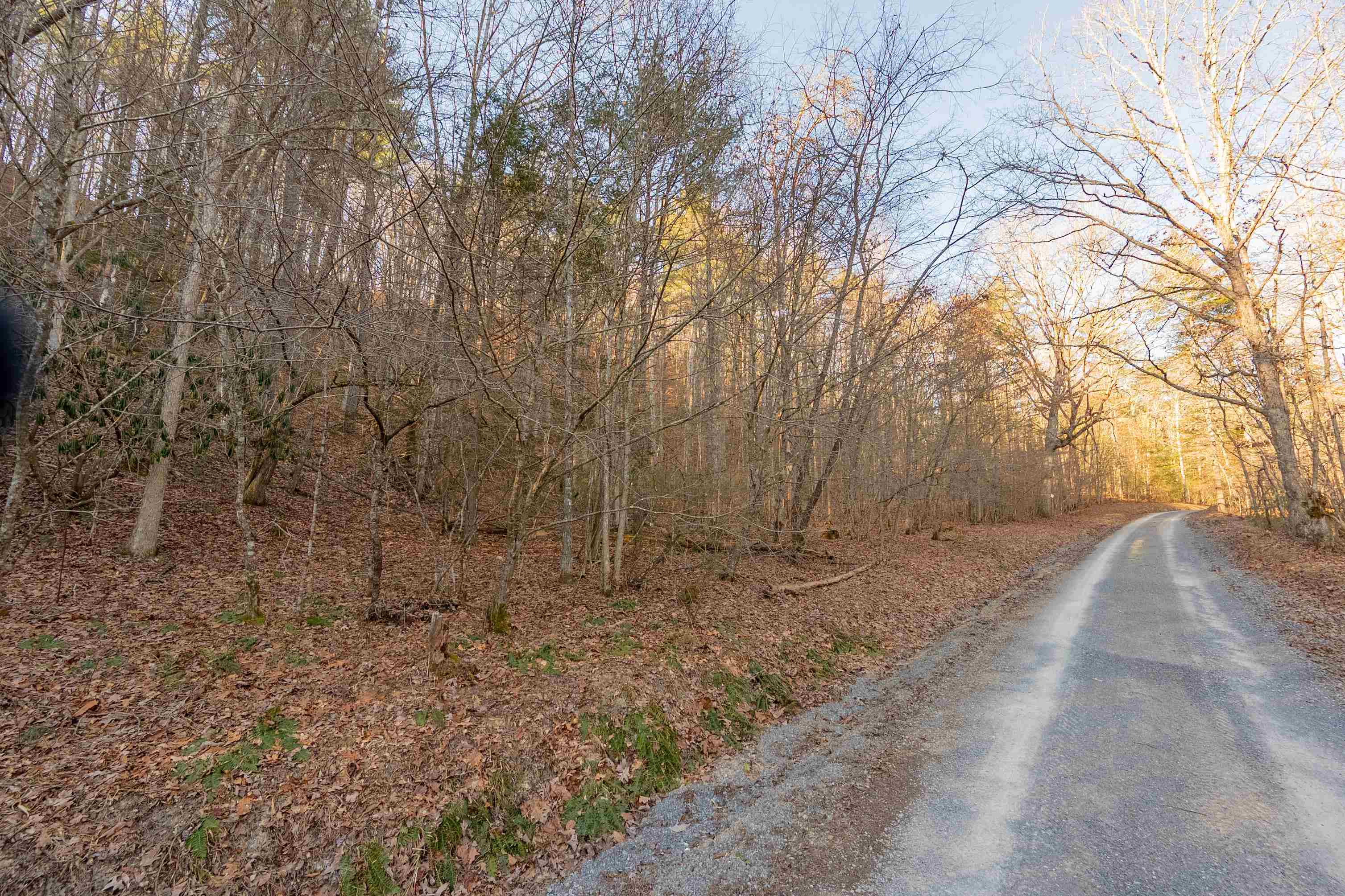 0 Kimberling Road Bland VA 24315