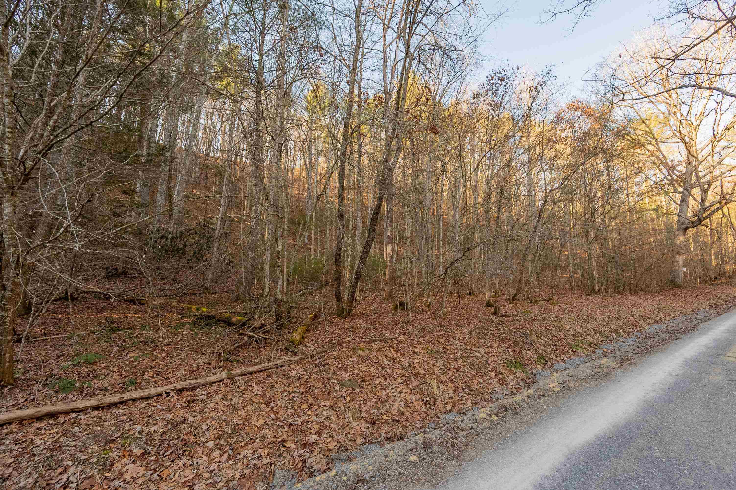 0 Kimberling Road Bland VA 24315