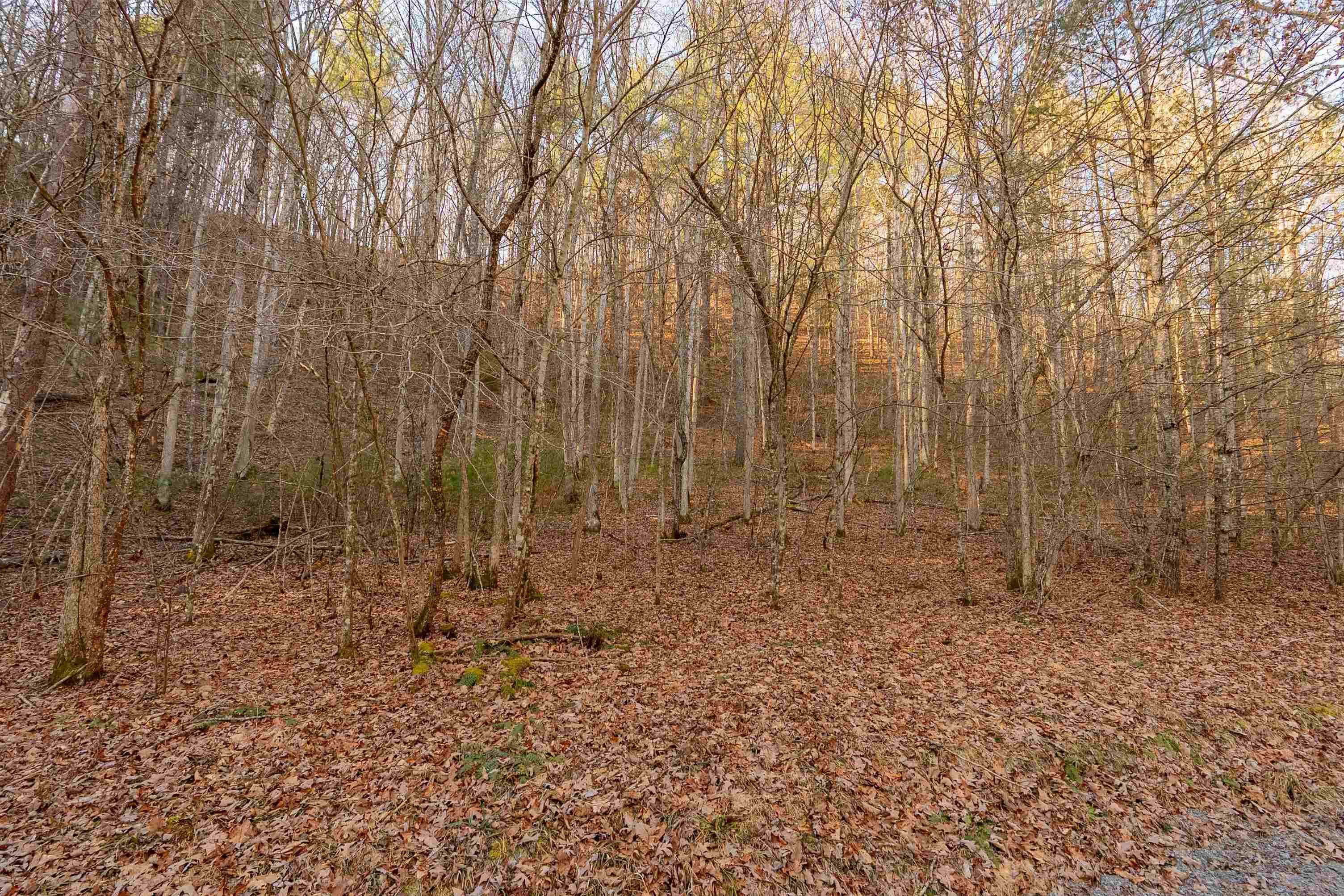 0 Kimberling Road Bland VA 24315