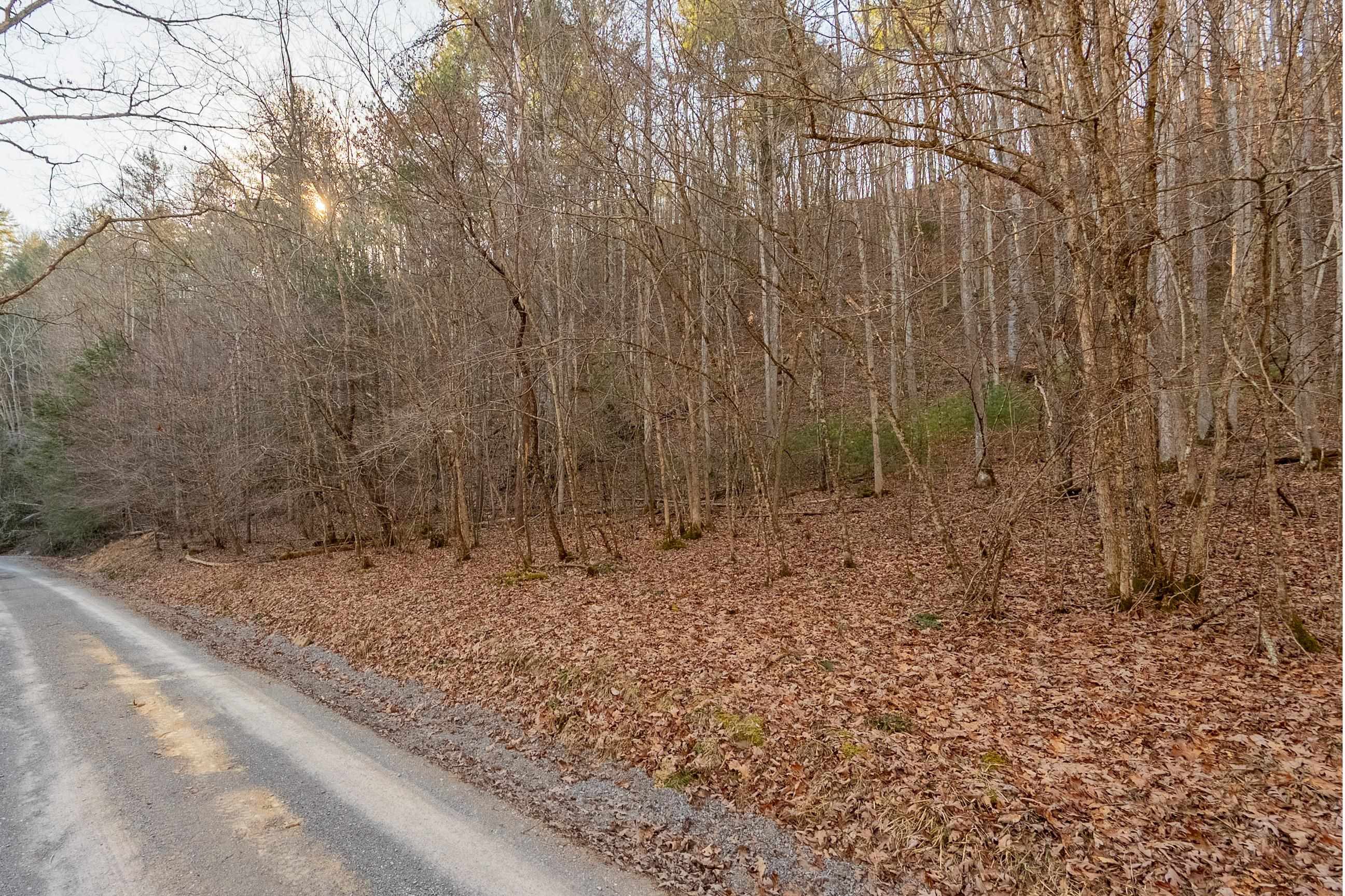 0 Kimberling Road Bland VA 24315