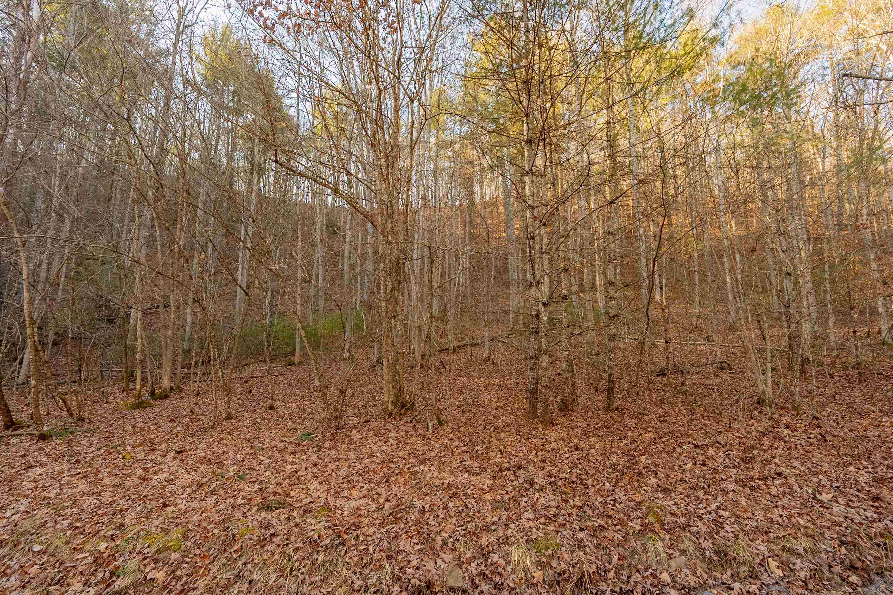 0 Kimberling Road Bland VA 24315