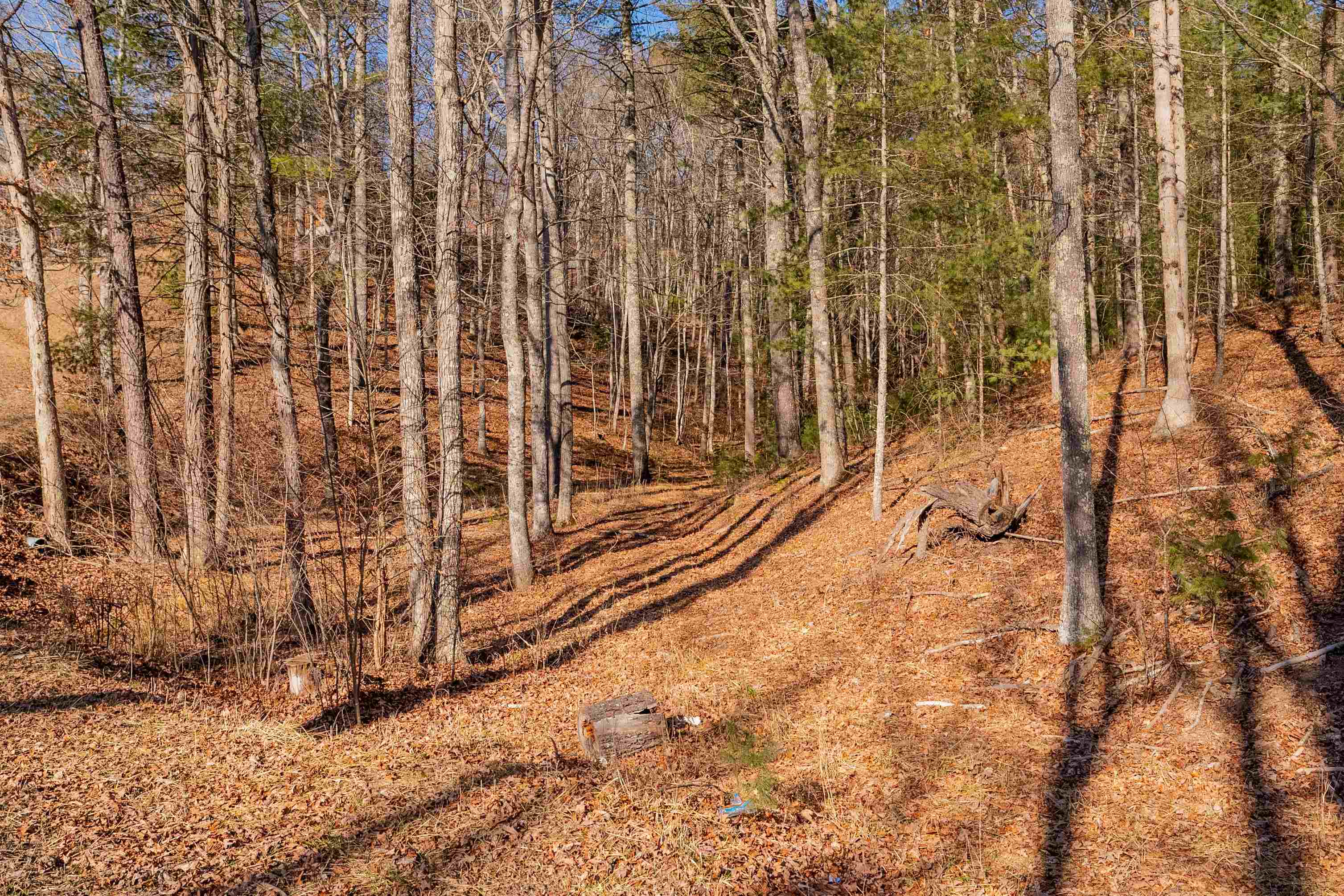 0 Kimberling Road Bland VA 24315