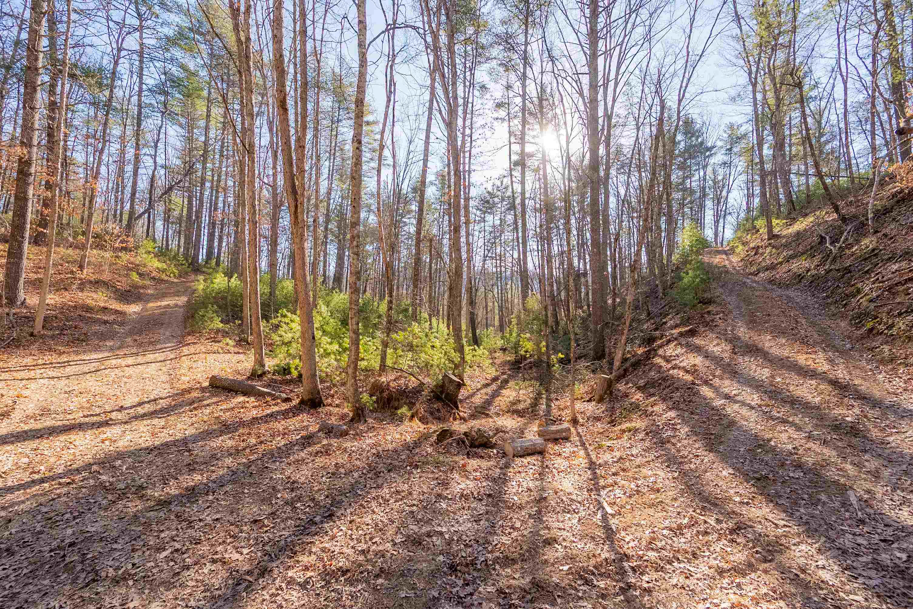 0 Kimberling Road Bland VA 24315