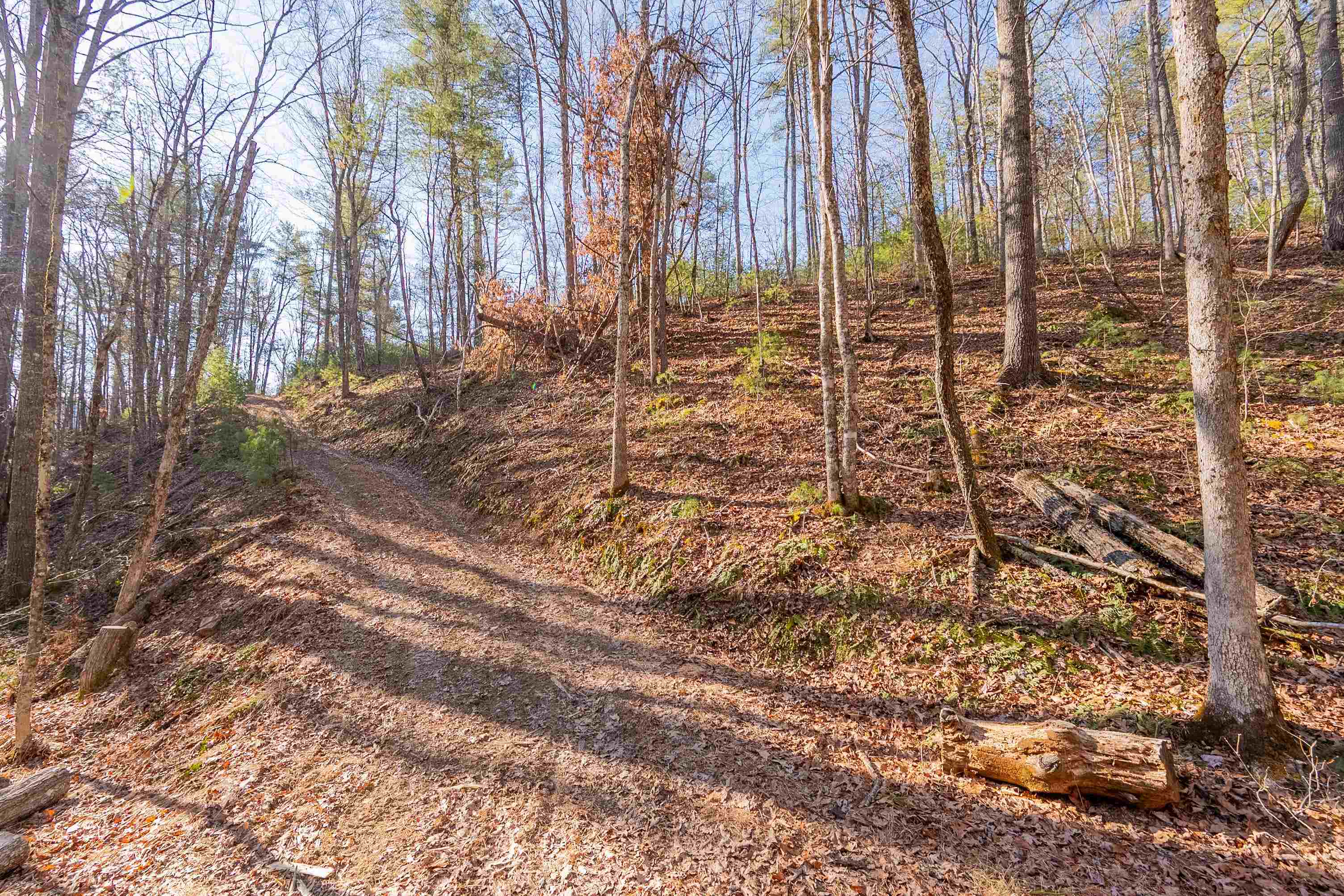 0 Kimberling Road Bland VA 24315