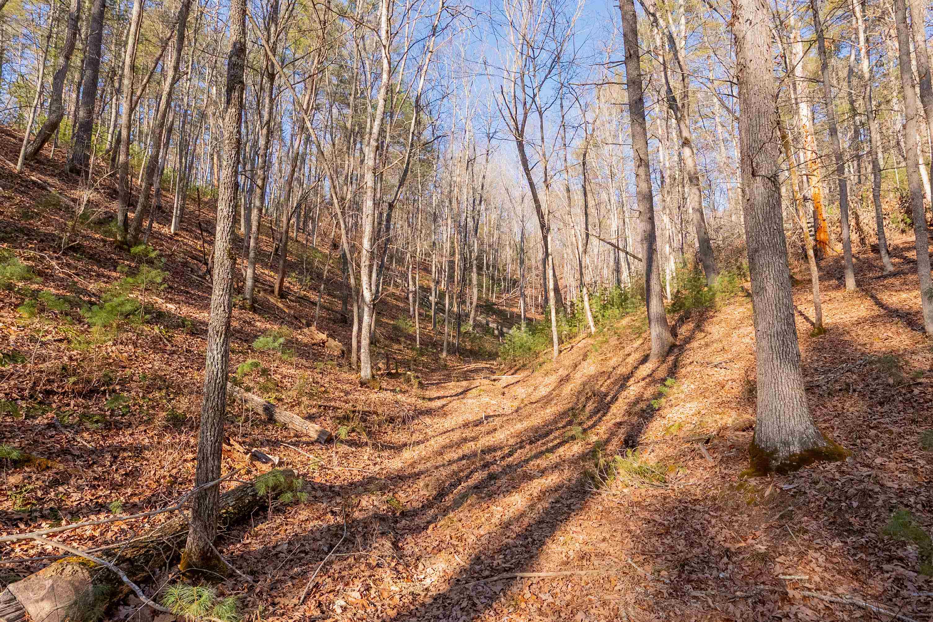 0 Kimberling Road Bland VA 24315