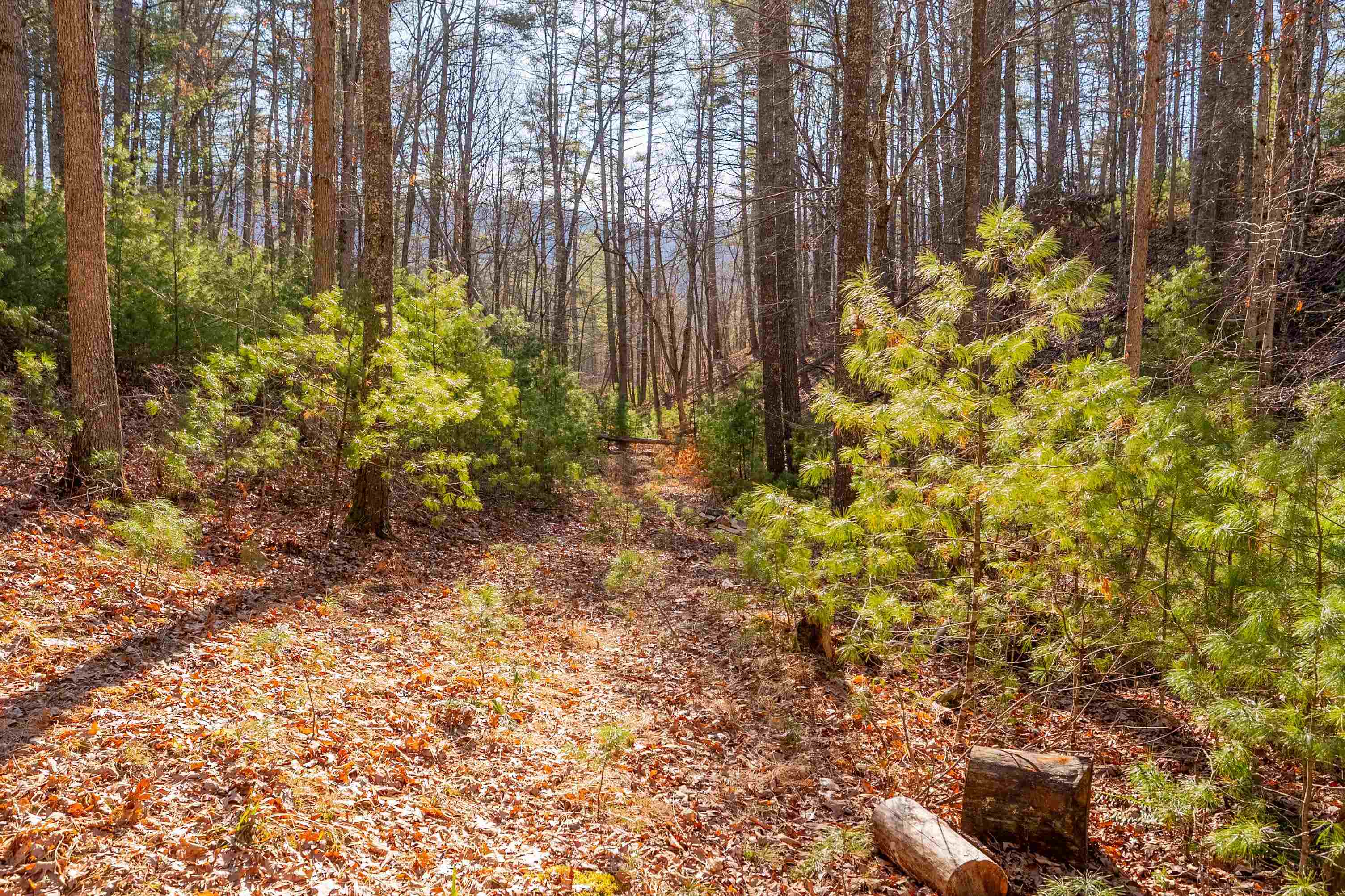 0 Kimberling Road Bland VA 24315