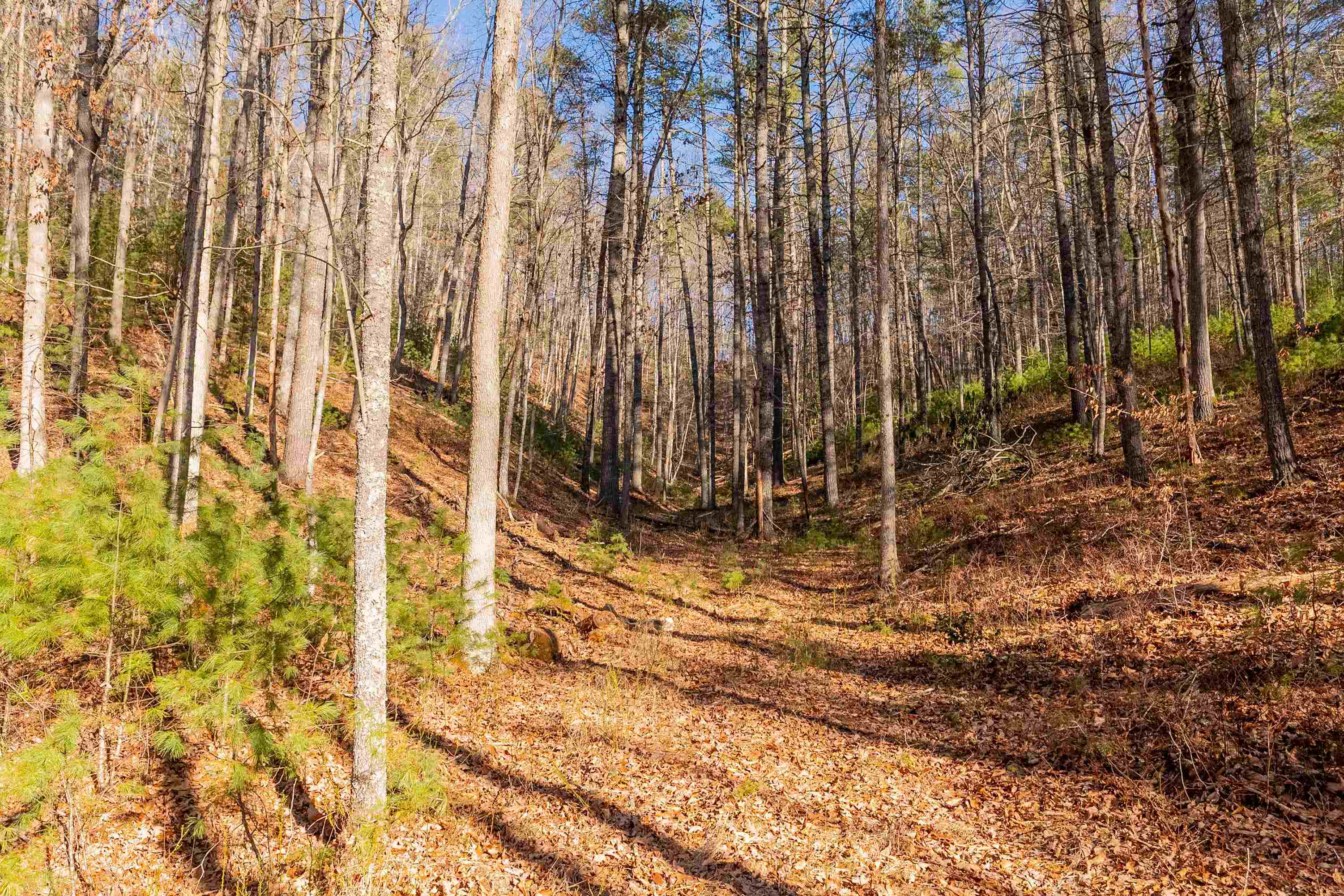 0 Kimberling Road Bland VA 24315