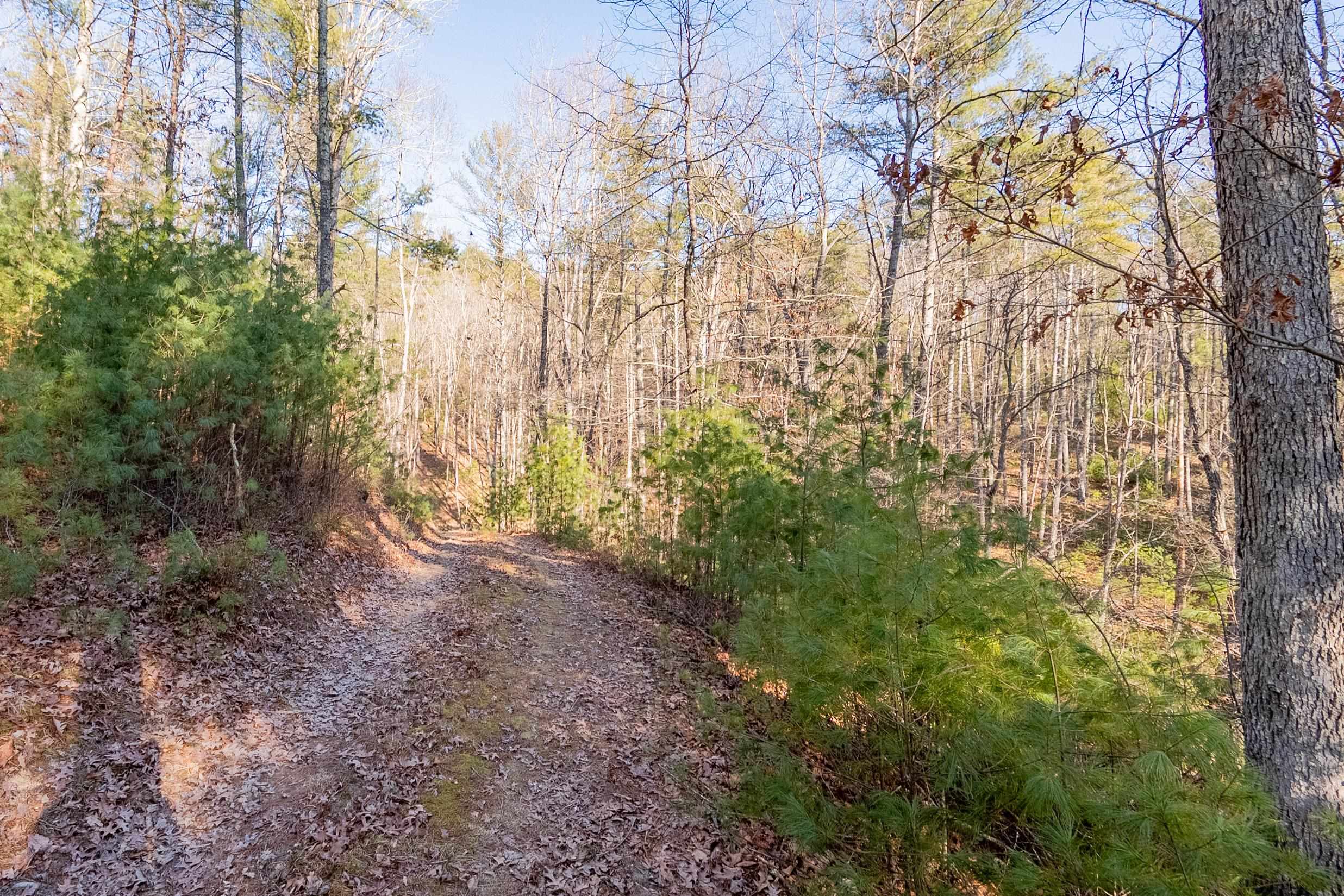 0 Kimberling Road Bland VA 24315