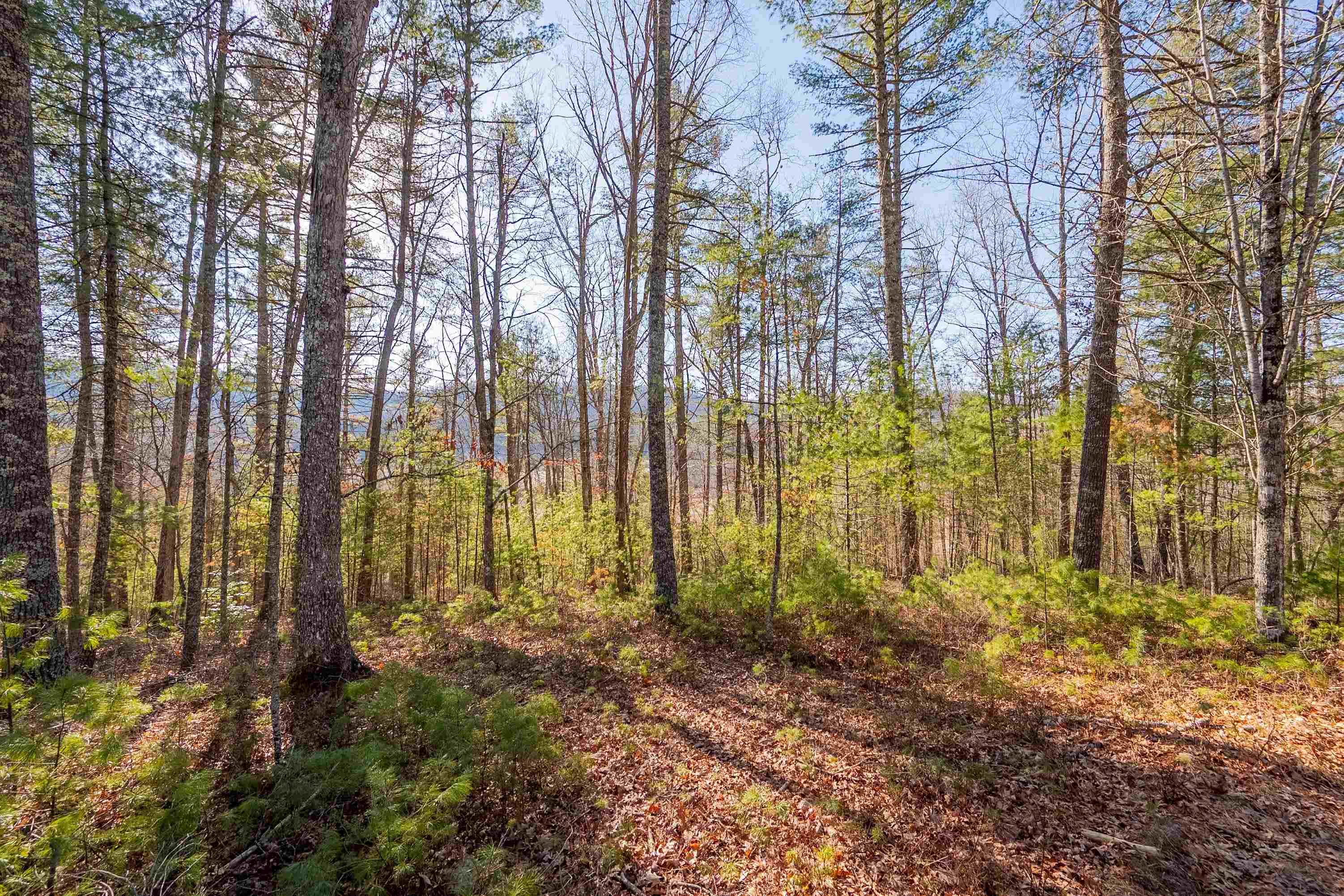 0 Kimberling Road Bland VA 24315