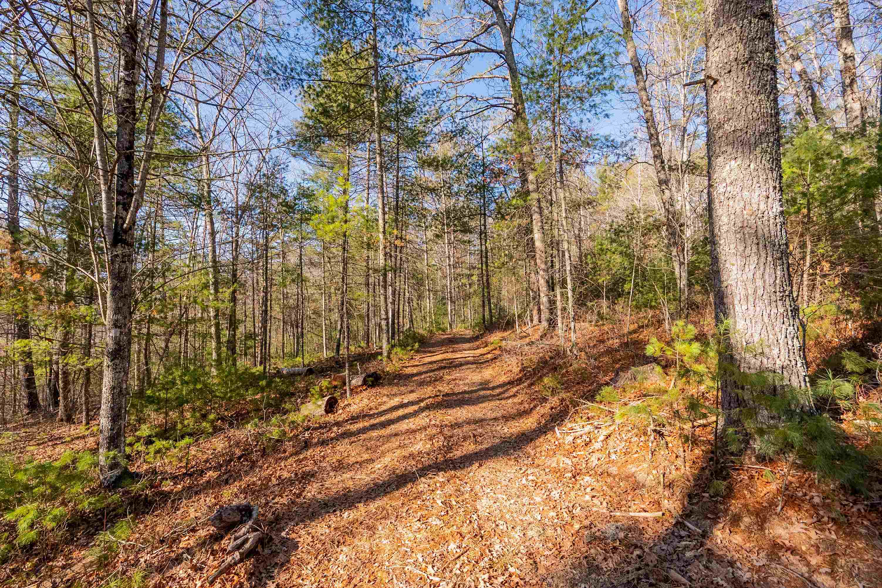 0 Kimberling Road Bland VA 24315