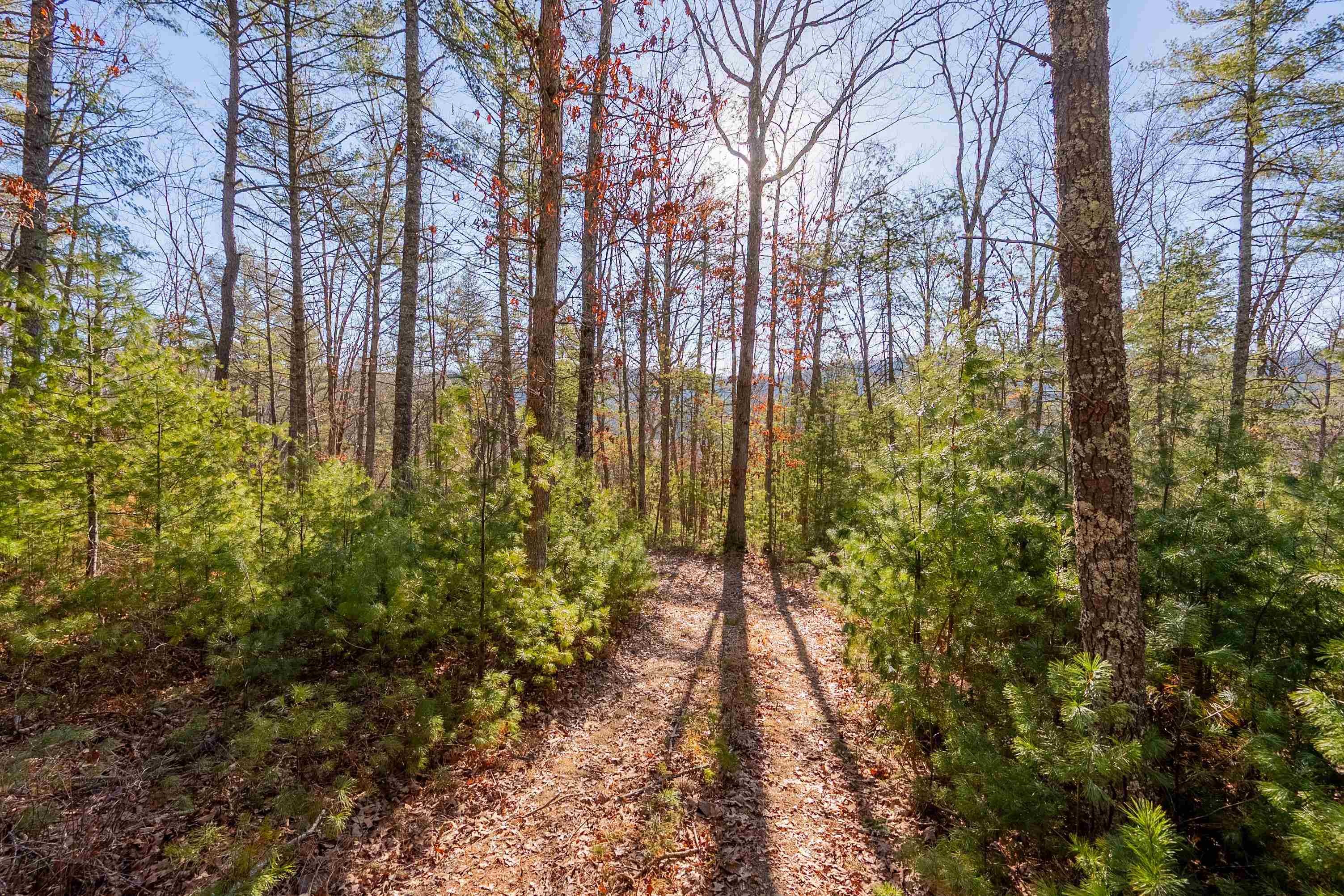 0 Kimberling Road Bland VA 24315