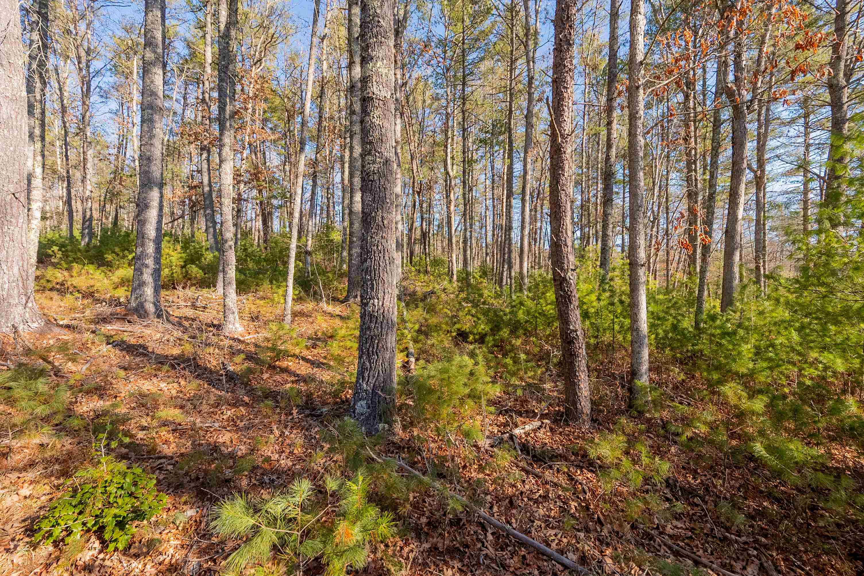 0 Kimberling Road Bland VA 24315
