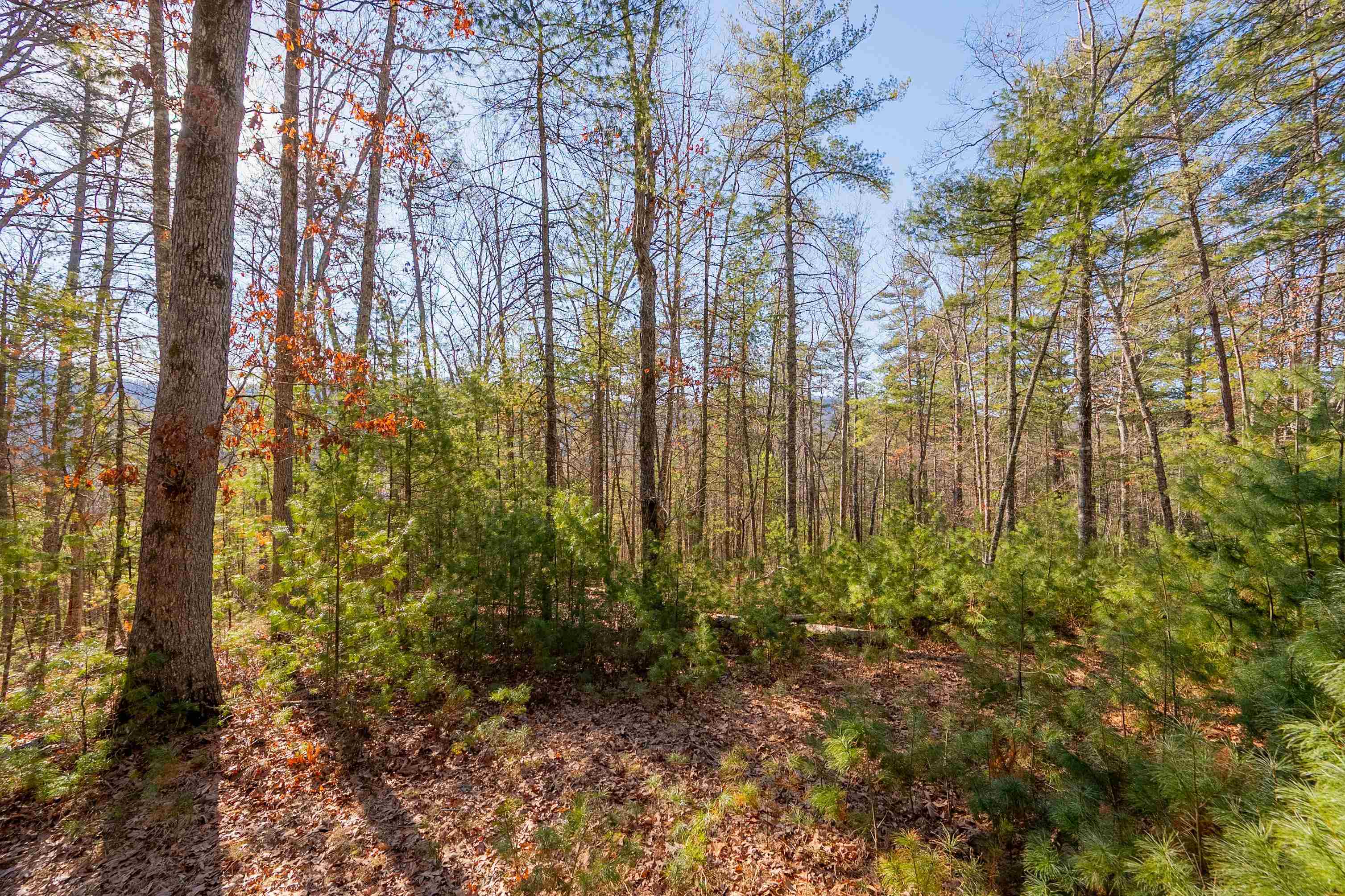 0 Kimberling Road Bland VA 24315