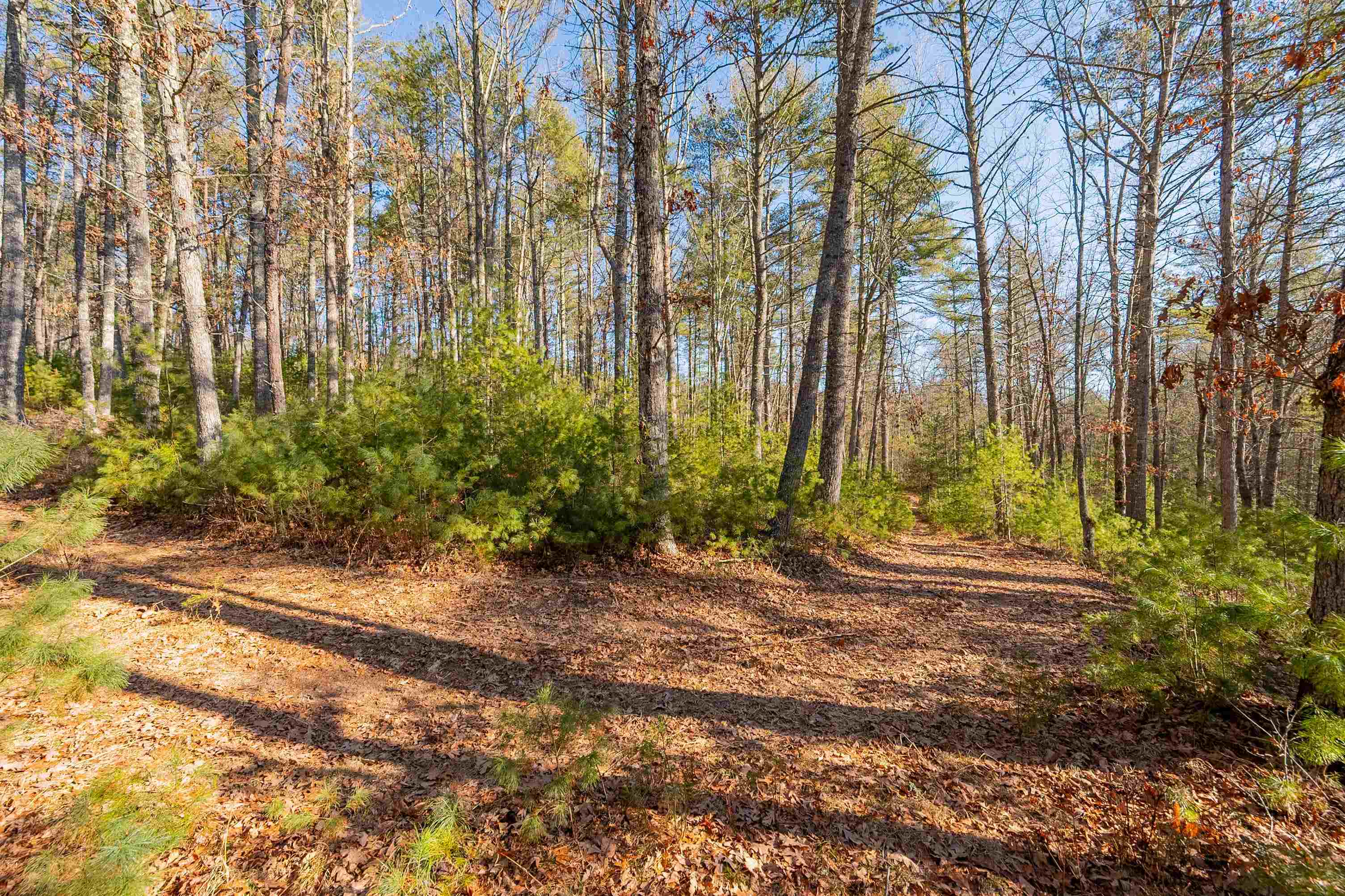 0 Kimberling Road Bland VA 24315