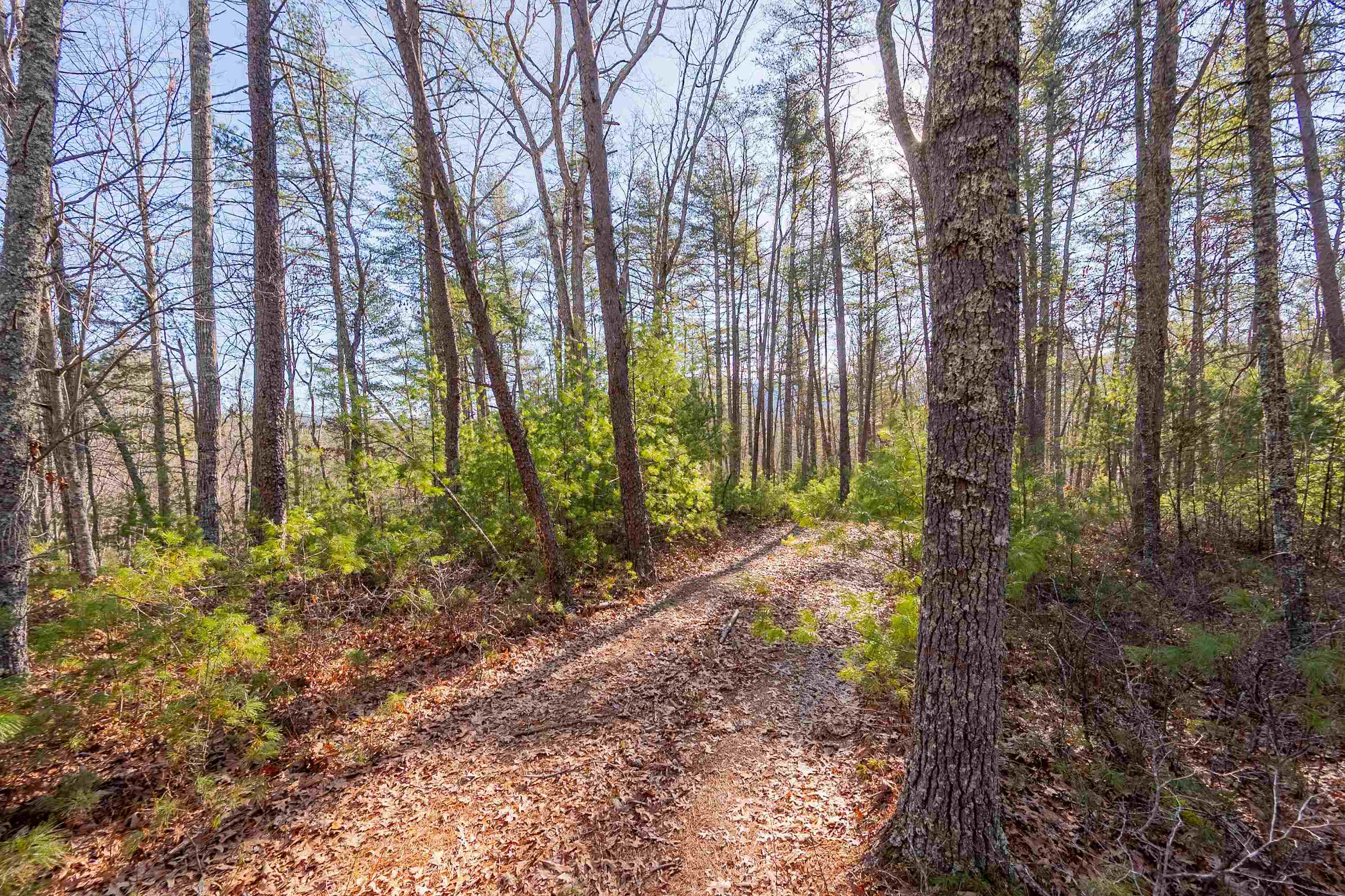 0 Kimberling Road Bland VA 24315