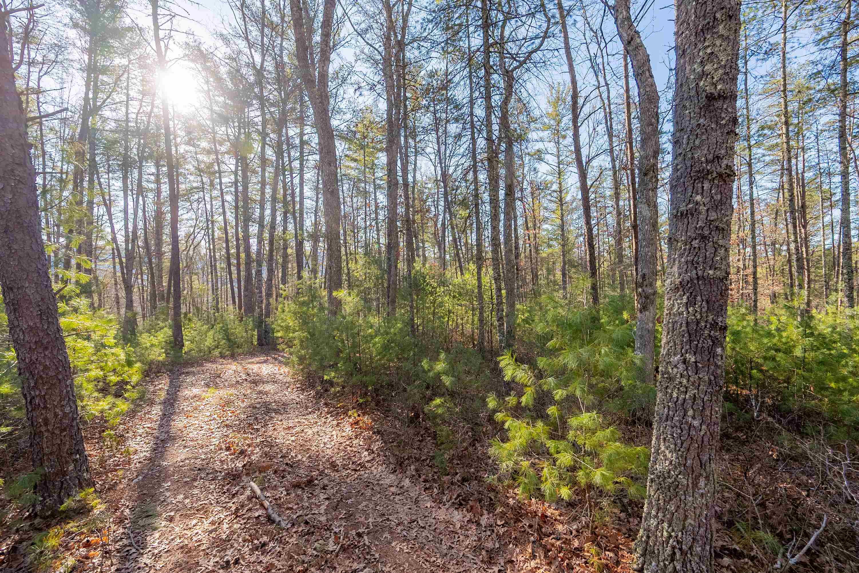 0 Kimberling Road Bland VA 24315