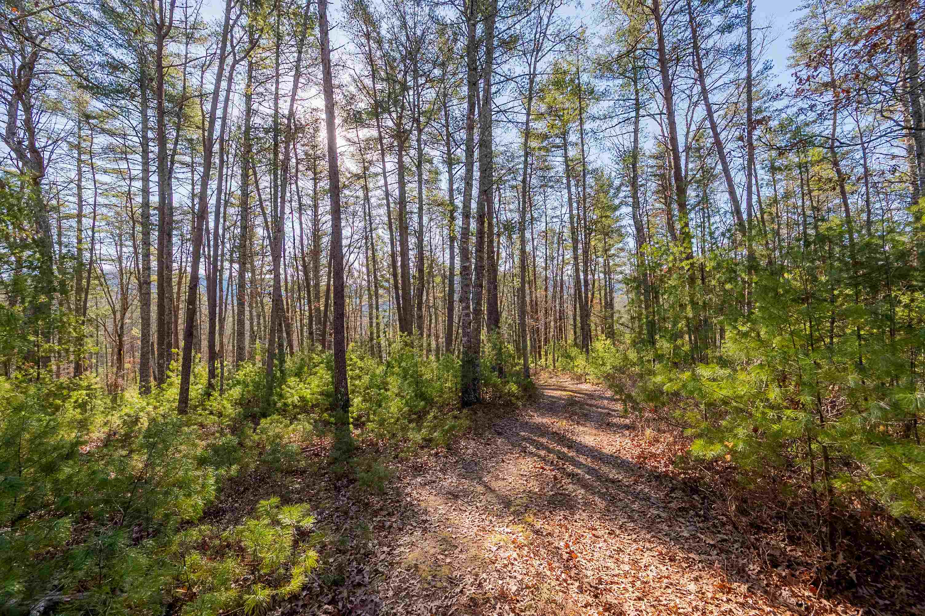 0 Kimberling Road Bland VA 24315