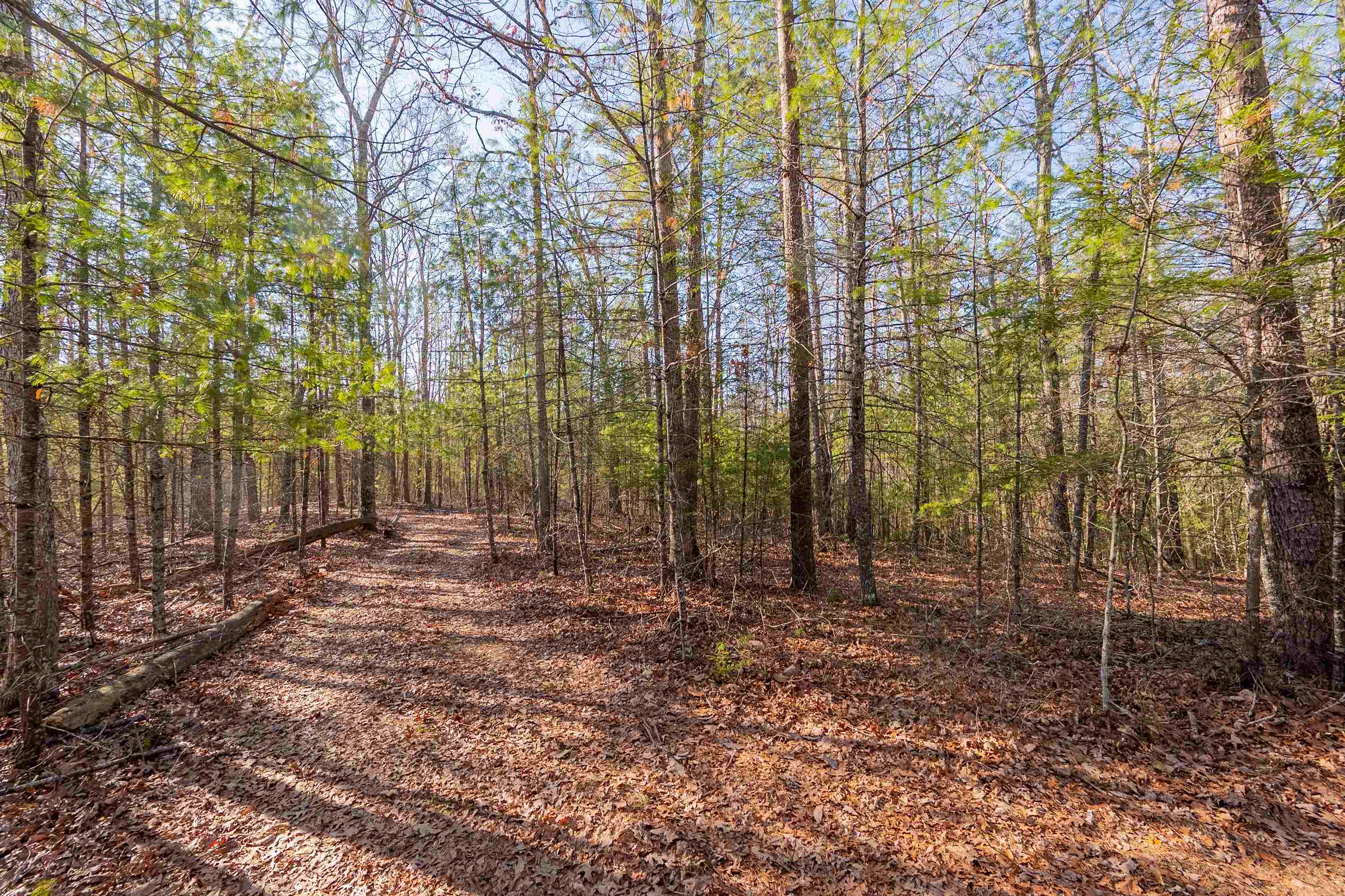 0 Kimberling Road Bland VA 24315