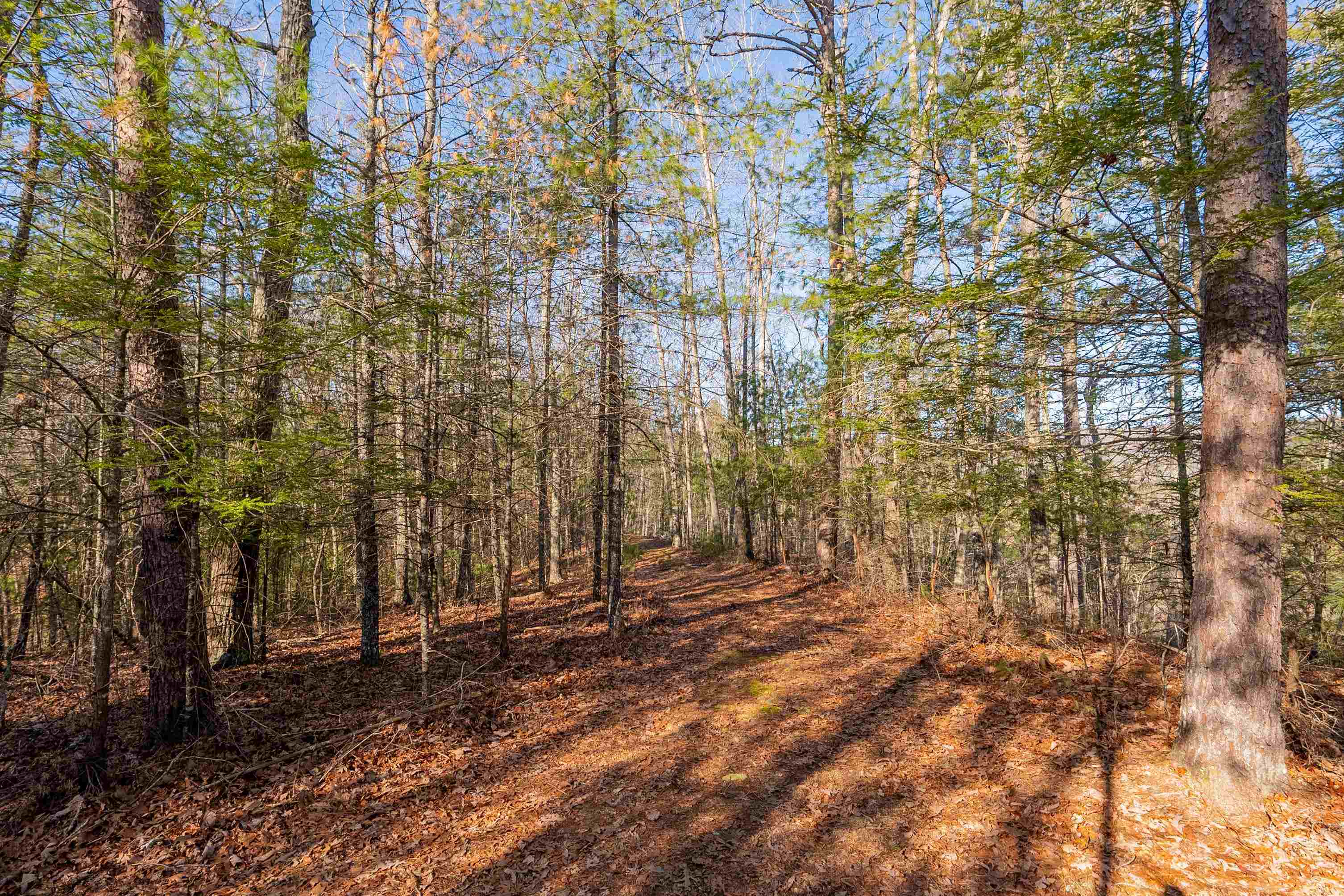 0 Kimberling Road Bland VA 24315