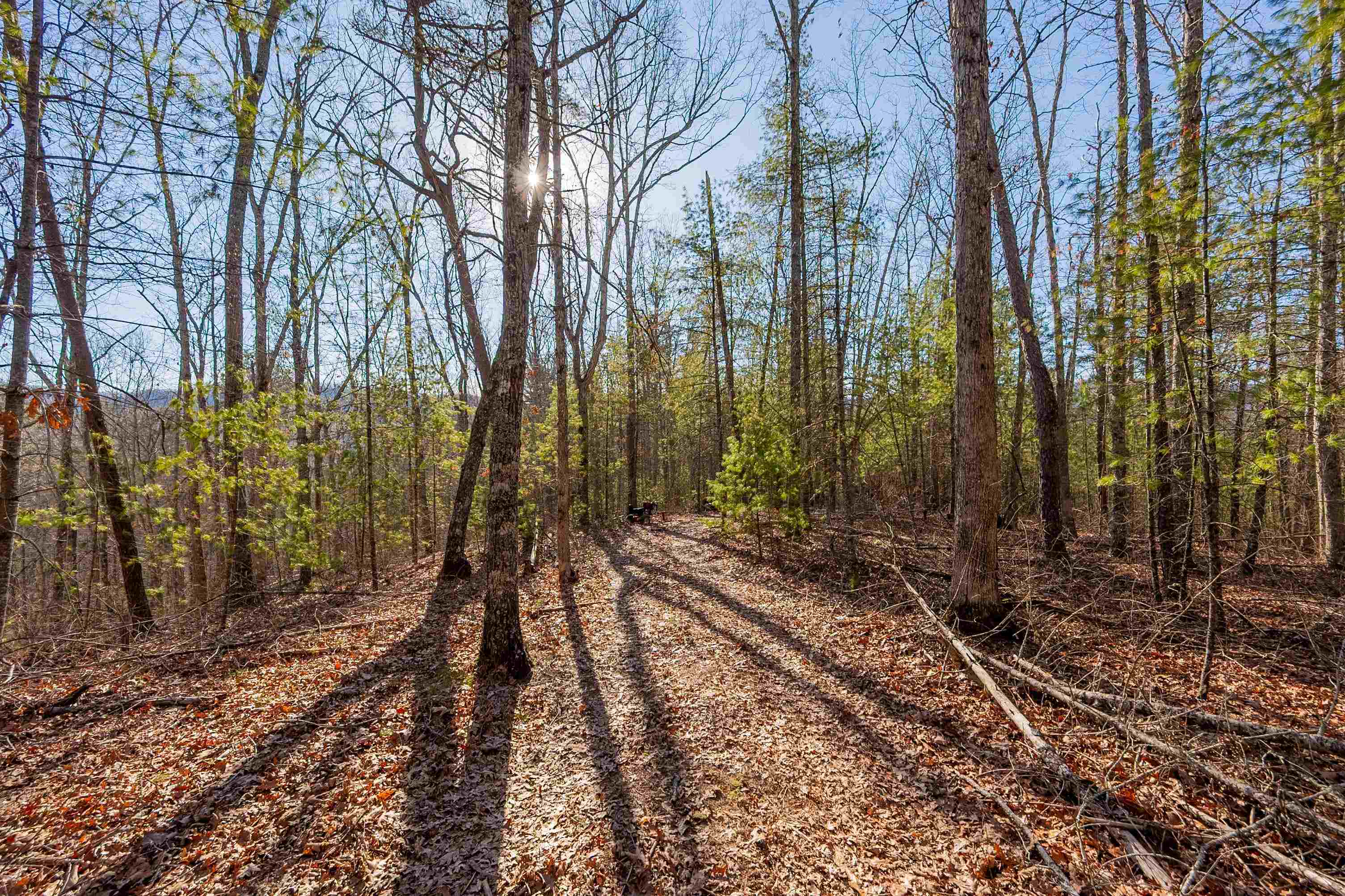 0 Kimberling Road Bland VA 24315