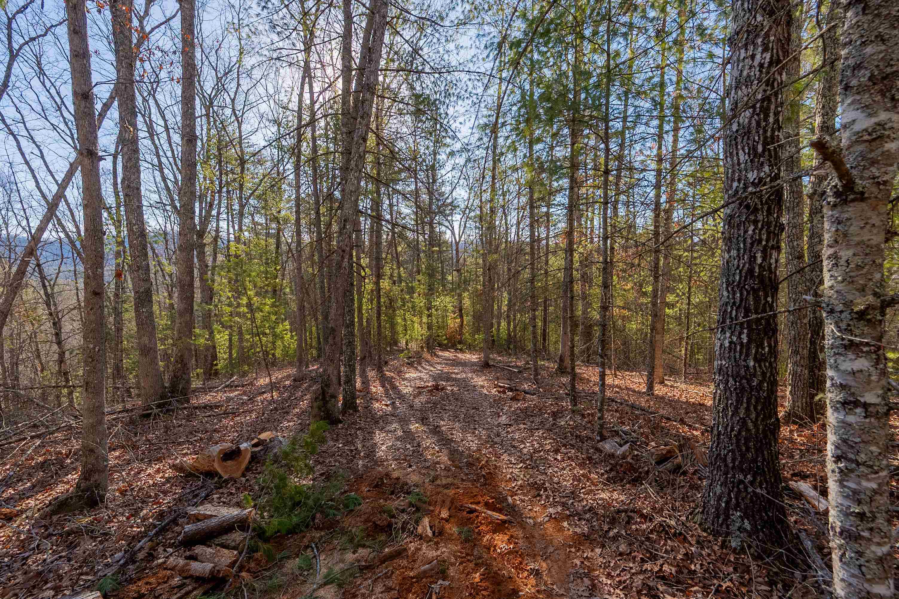 0 Kimberling Road Bland VA 24315