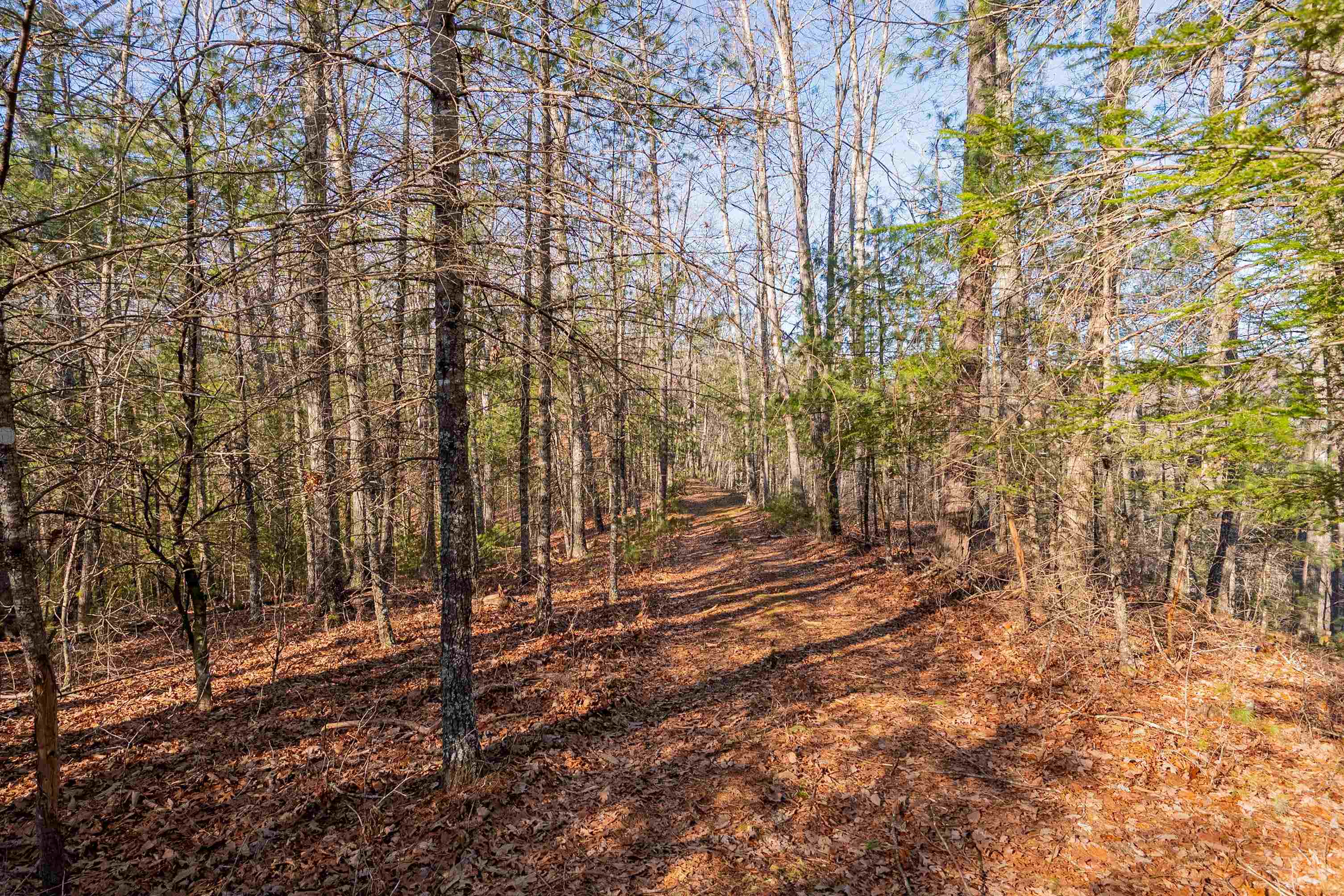 0 Kimberling Road Bland VA 24315