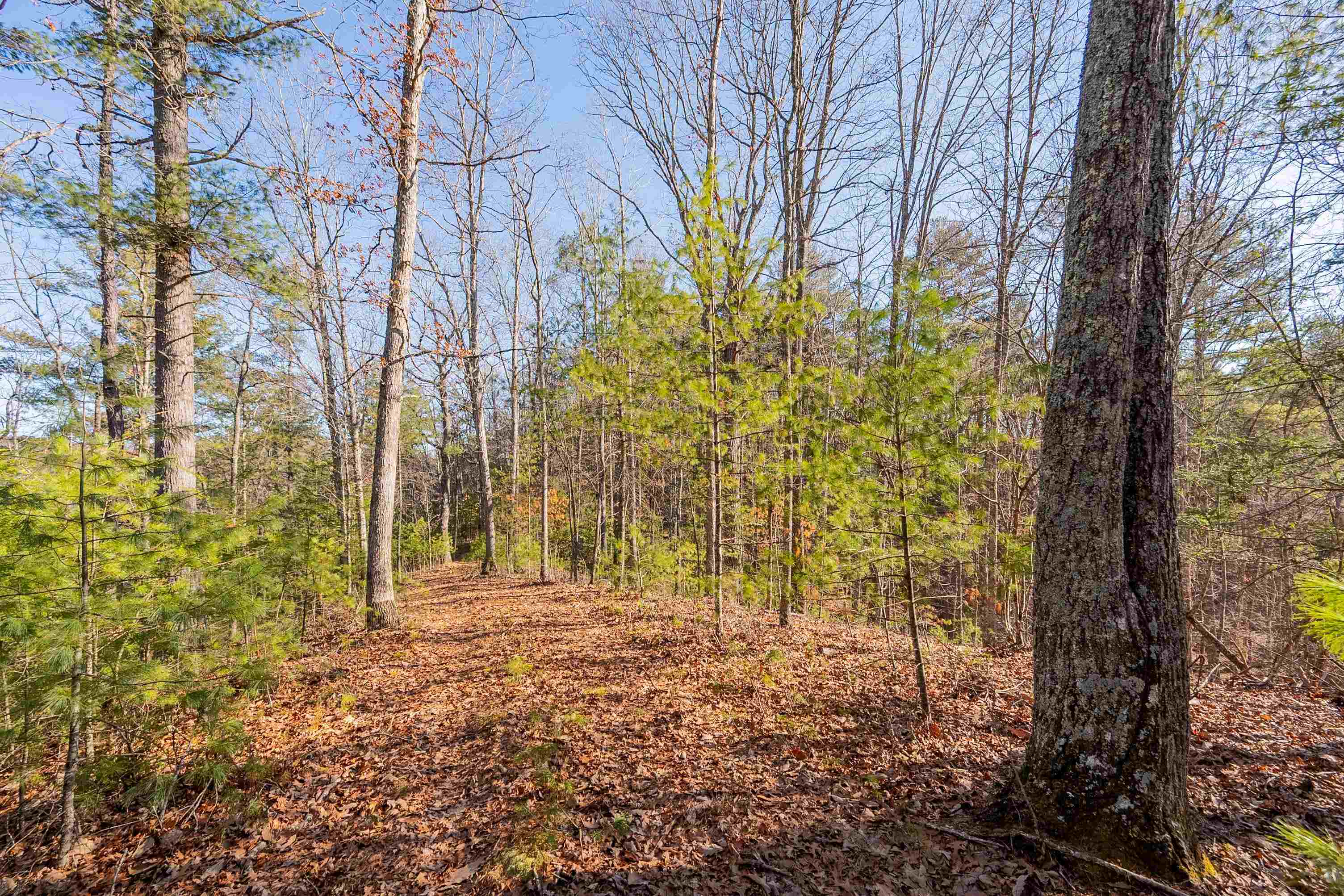 0 Kimberling Road Bland VA 24315