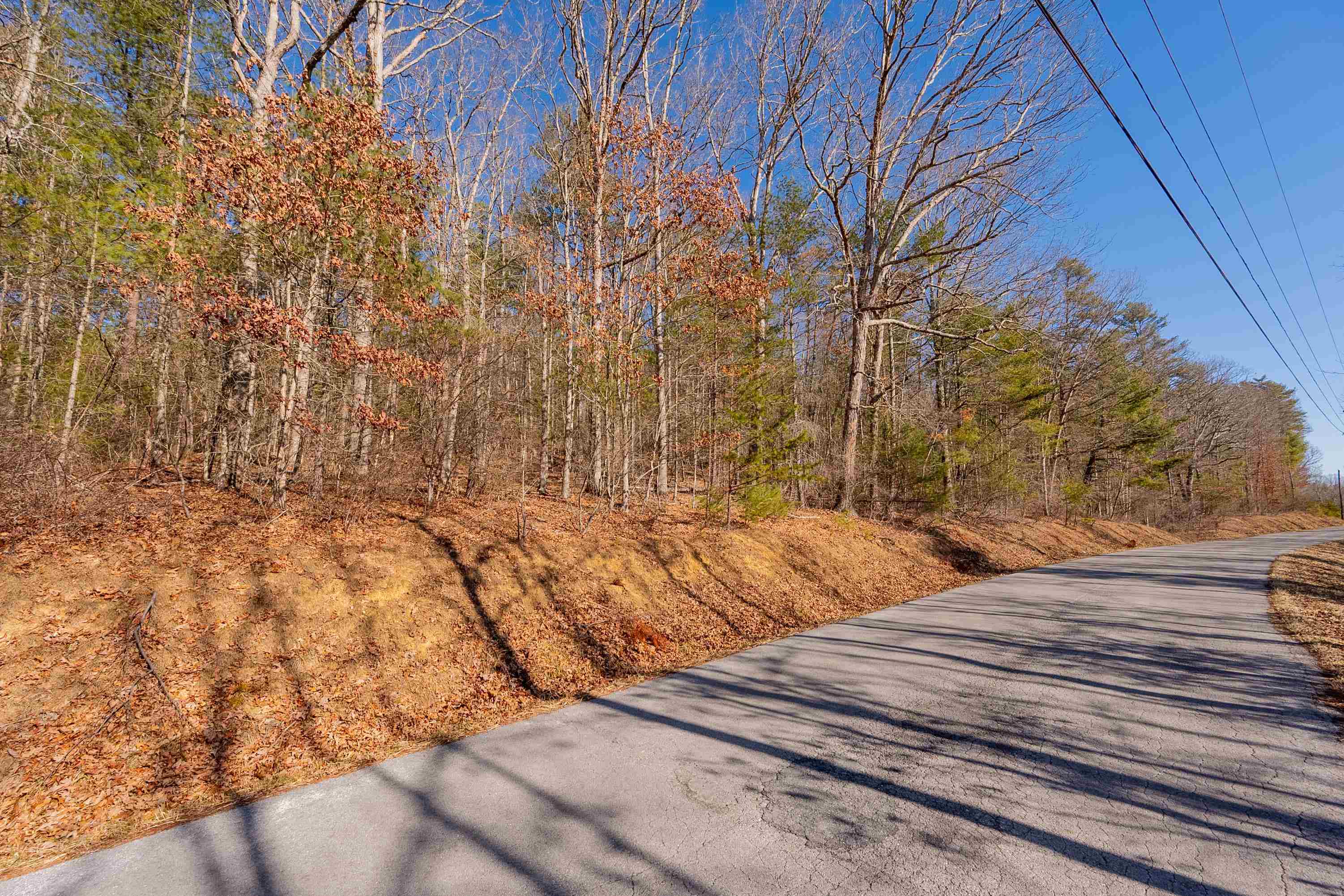 0 Kimberling Road Bland VA 24315