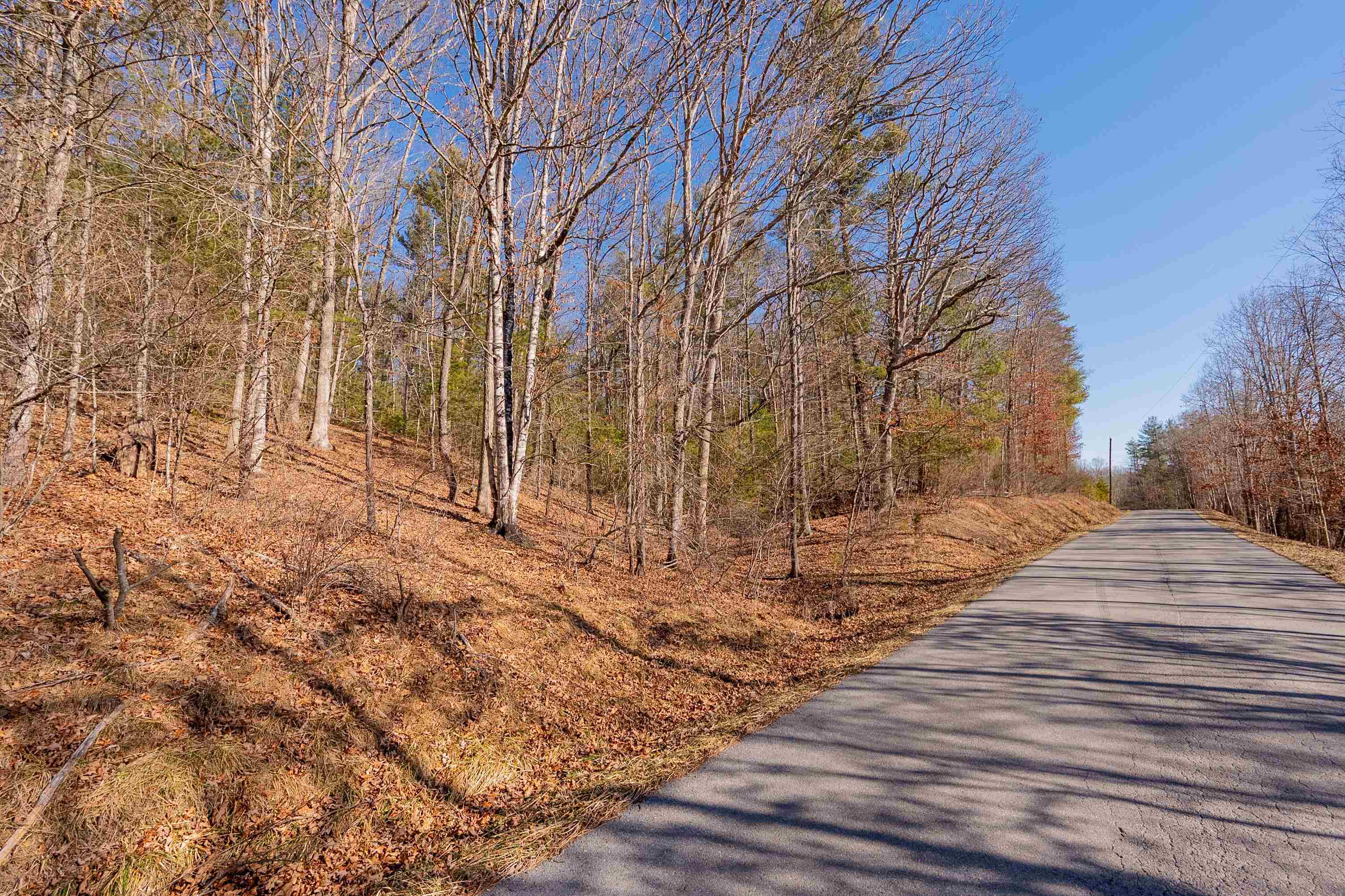 0 Kimberling Road Bland VA 24315