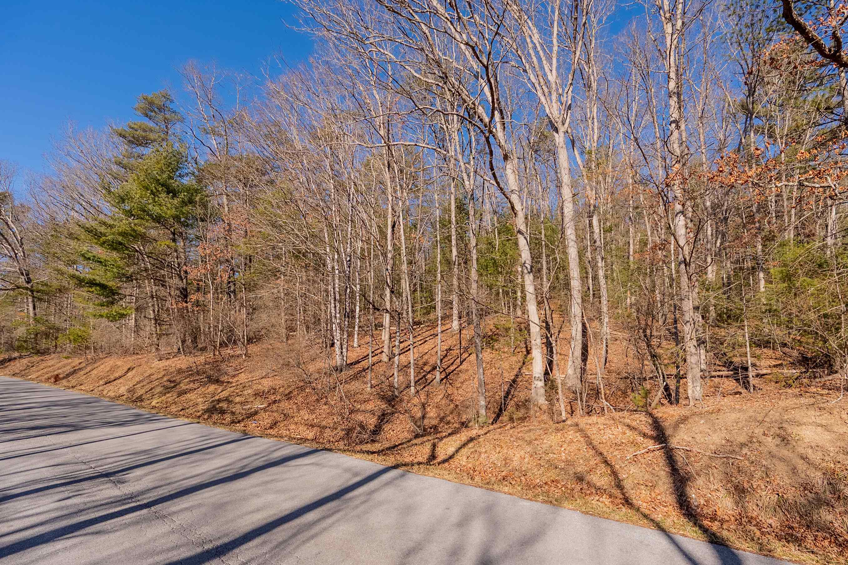 0 Kimberling Road Bland VA 24315