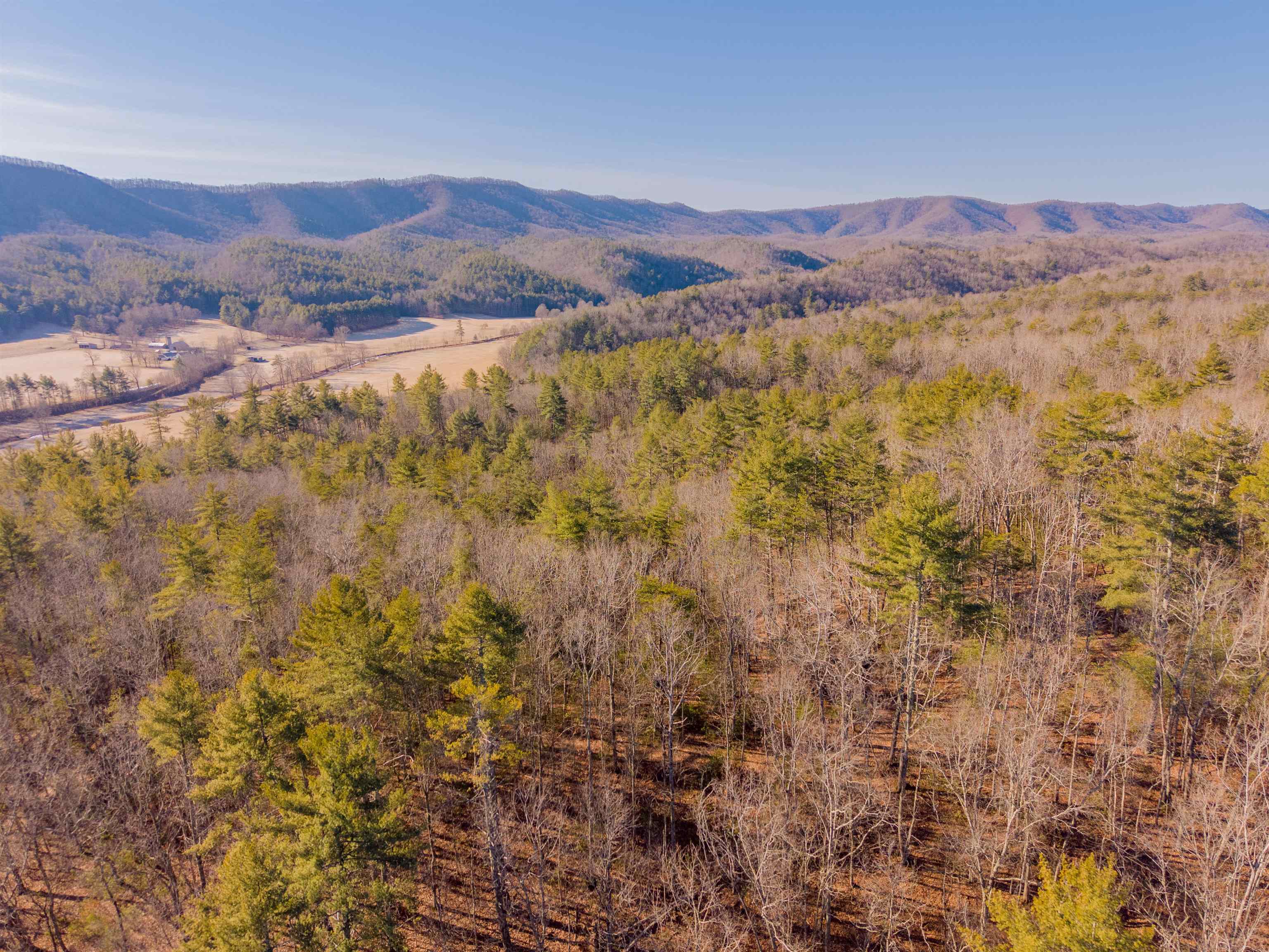 0 Kimberling Road Bland VA 24315