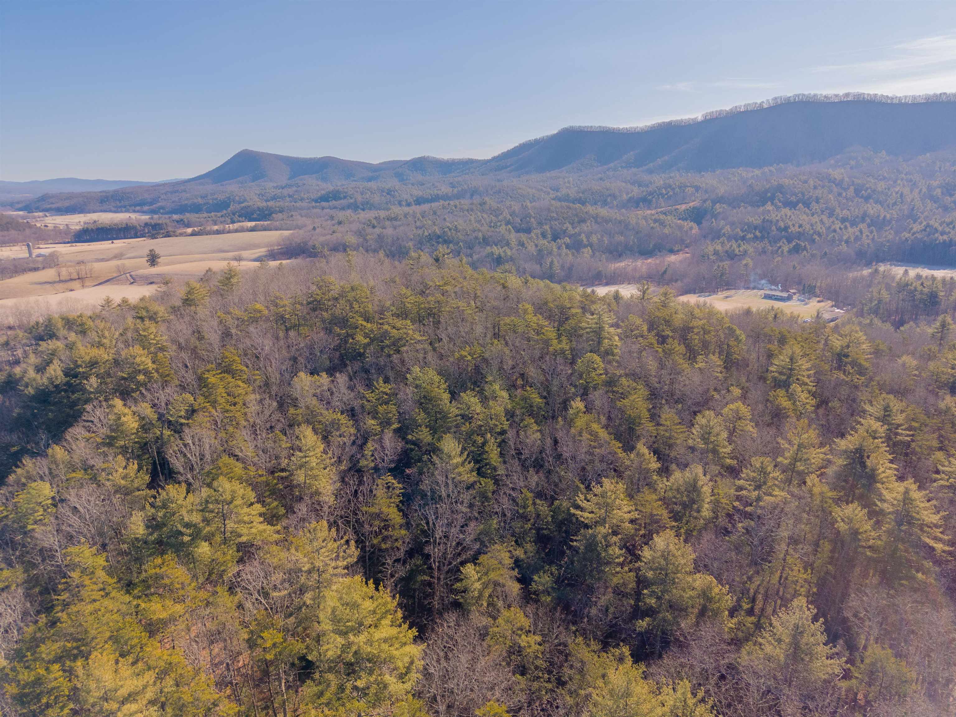 0 Kimberling Road Bland VA 24315