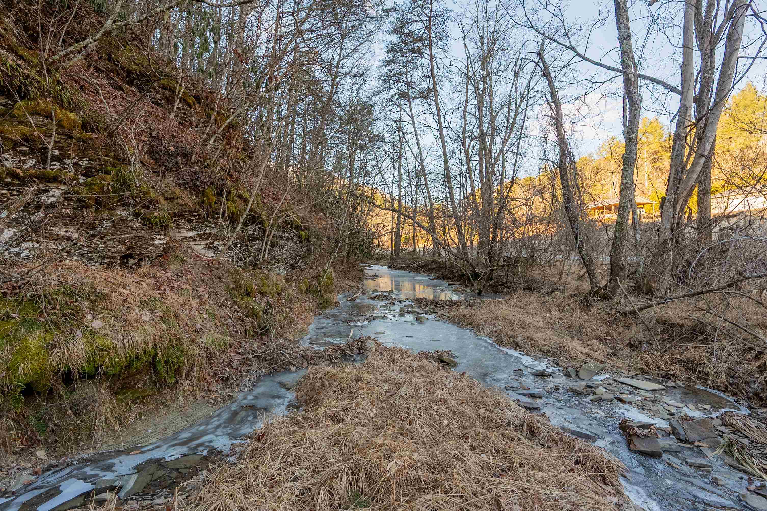 0 Kimberling Road Bland VA 24315