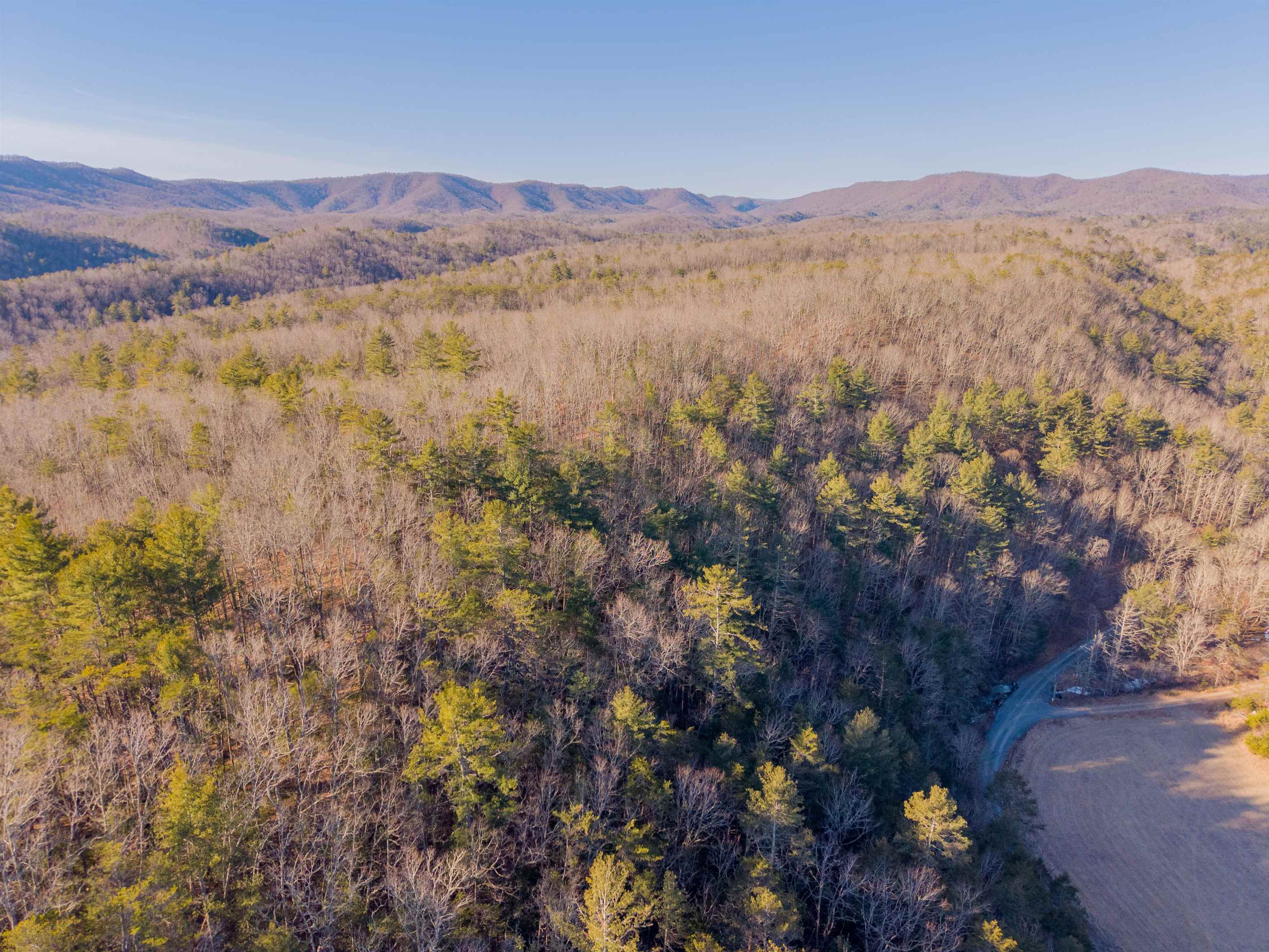 0 Kimberling Road Bland VA 24315